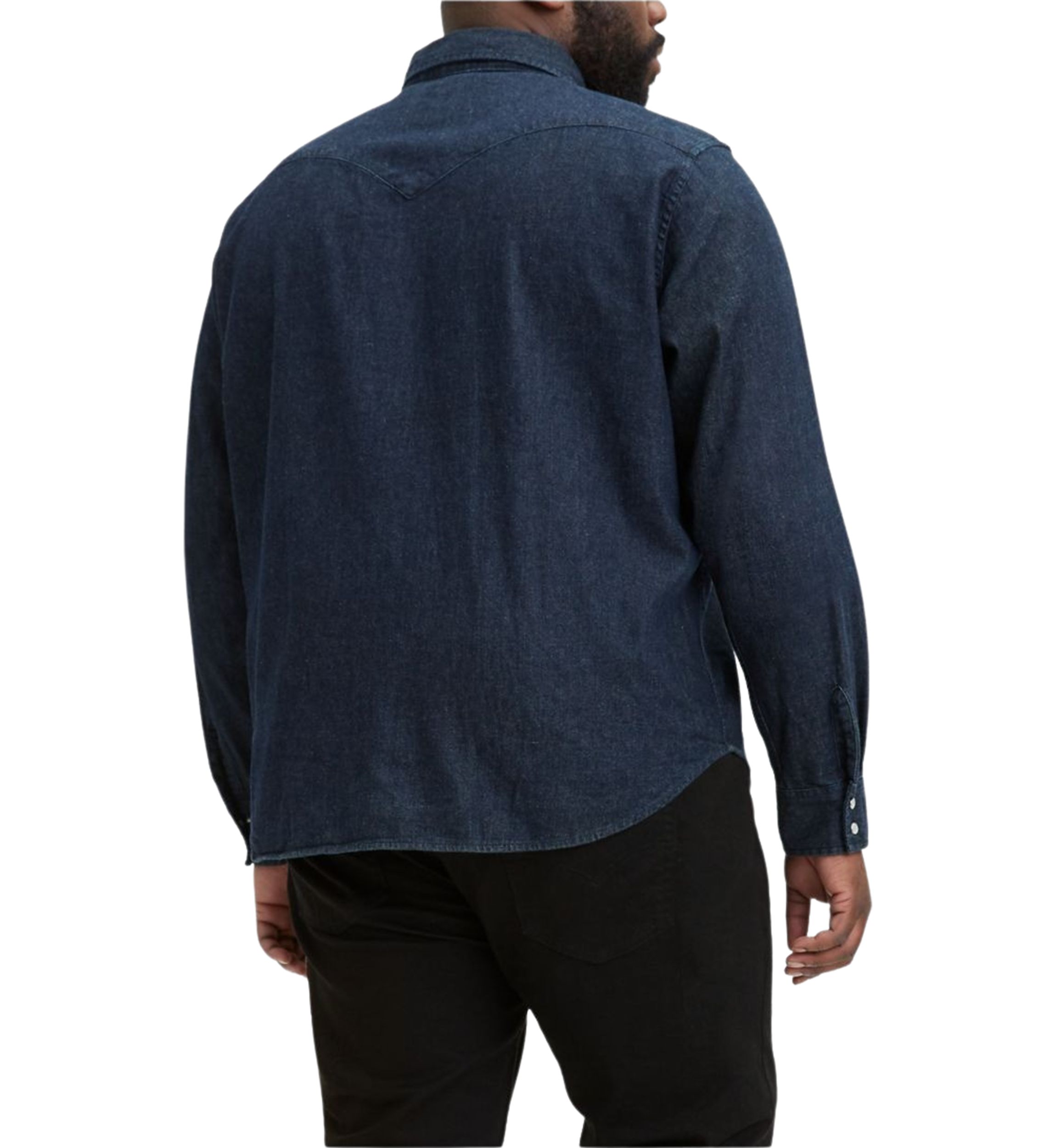Big & Tall Long Sleeve Classic Western Button-Down Shirt 