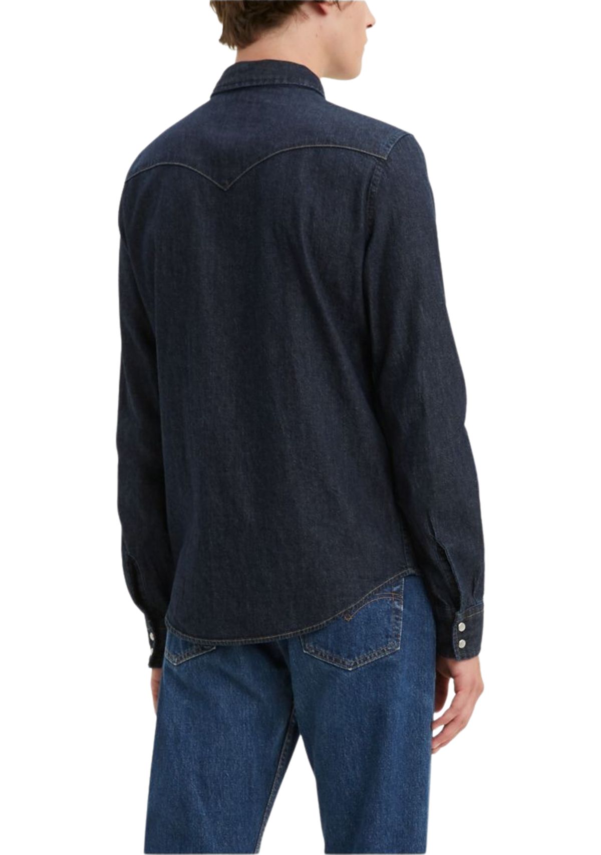 Standard Red Cast Rinse Classic Western Shirt 