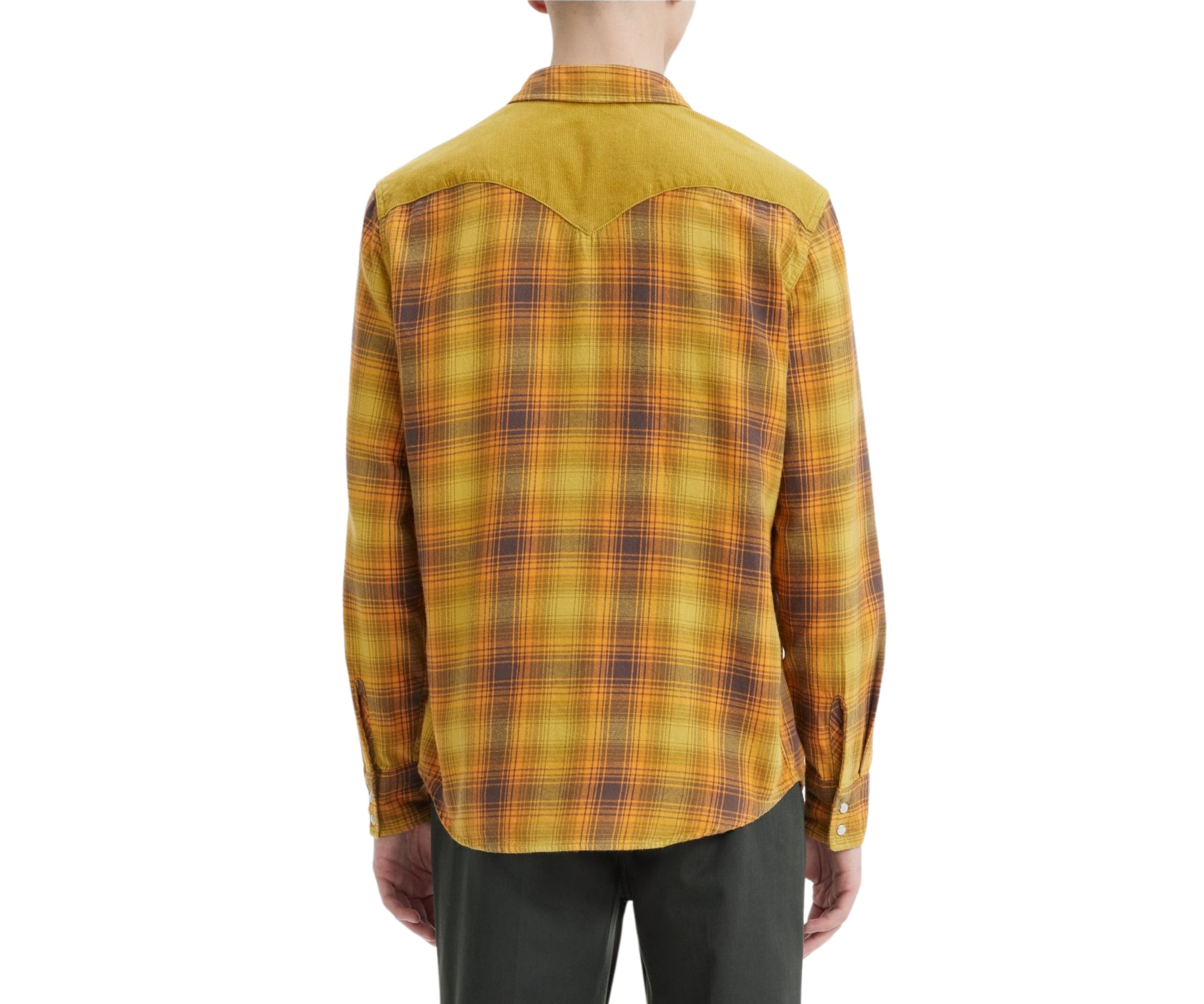 Classic Western Standard Shirt