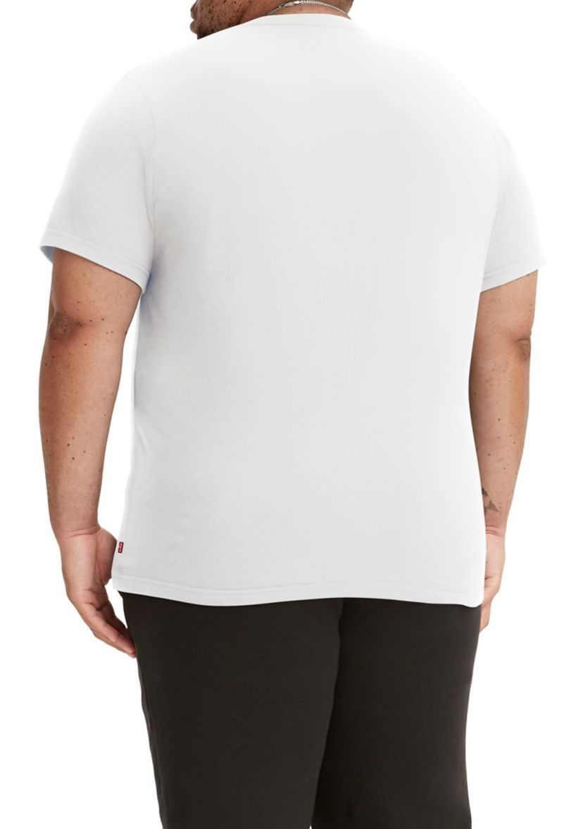 Big & Tall Poster Logo Graphic T-Shirt