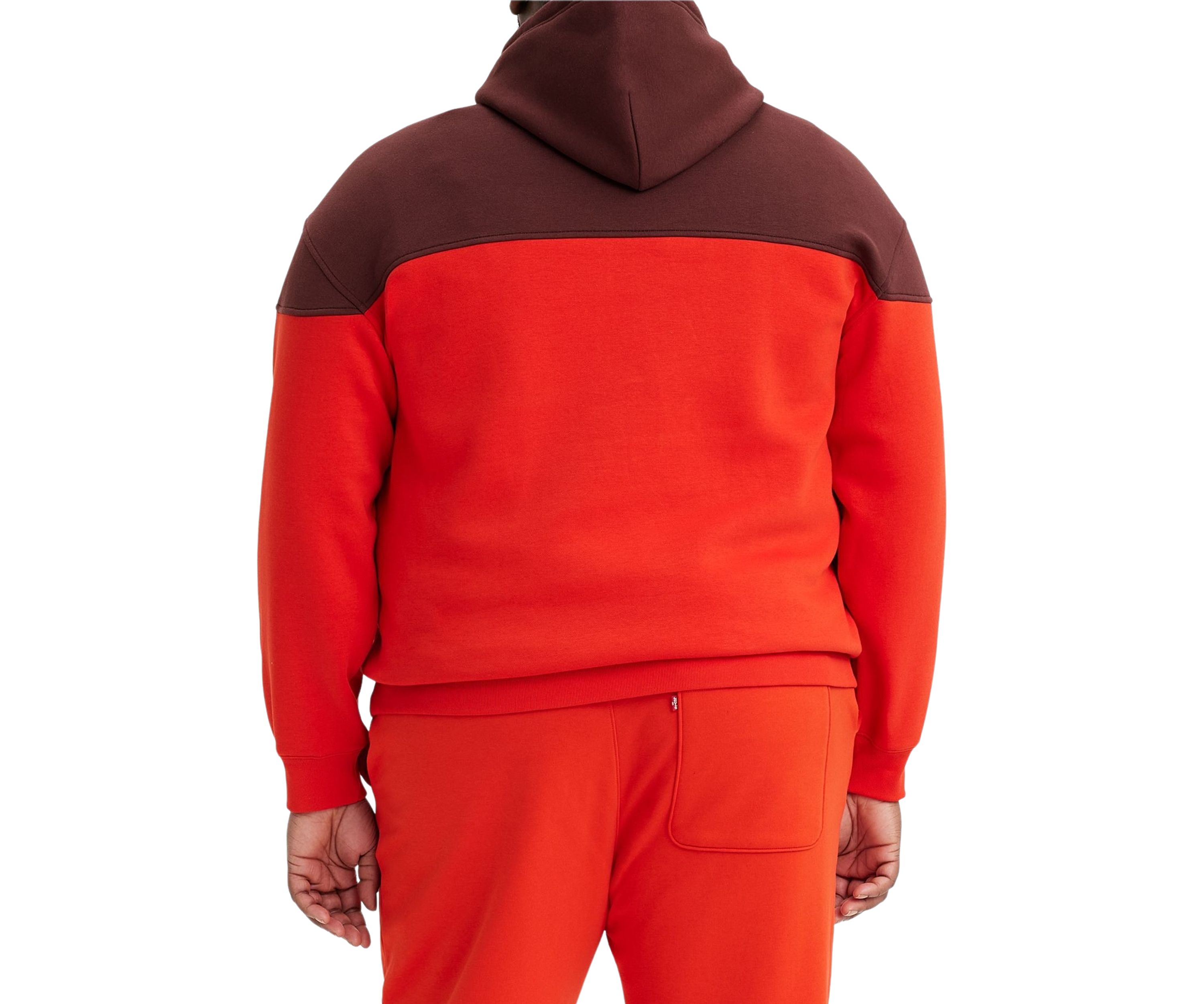 Big & Tall Color Block Hoodie