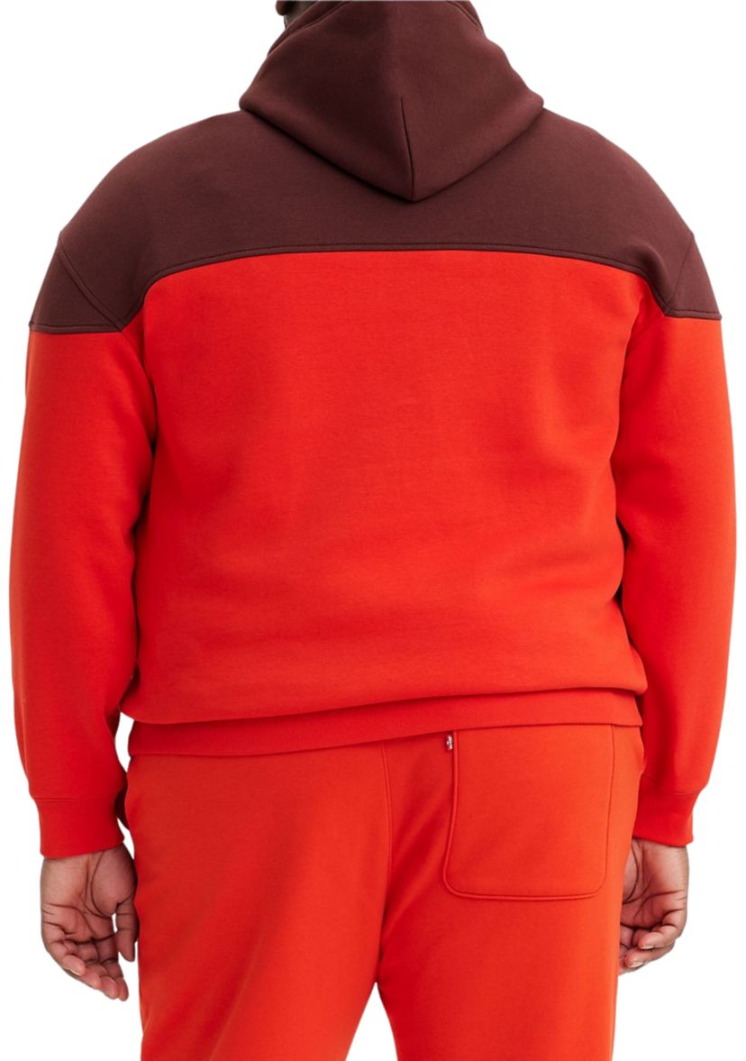 Big & Tall Color Block Hoodie