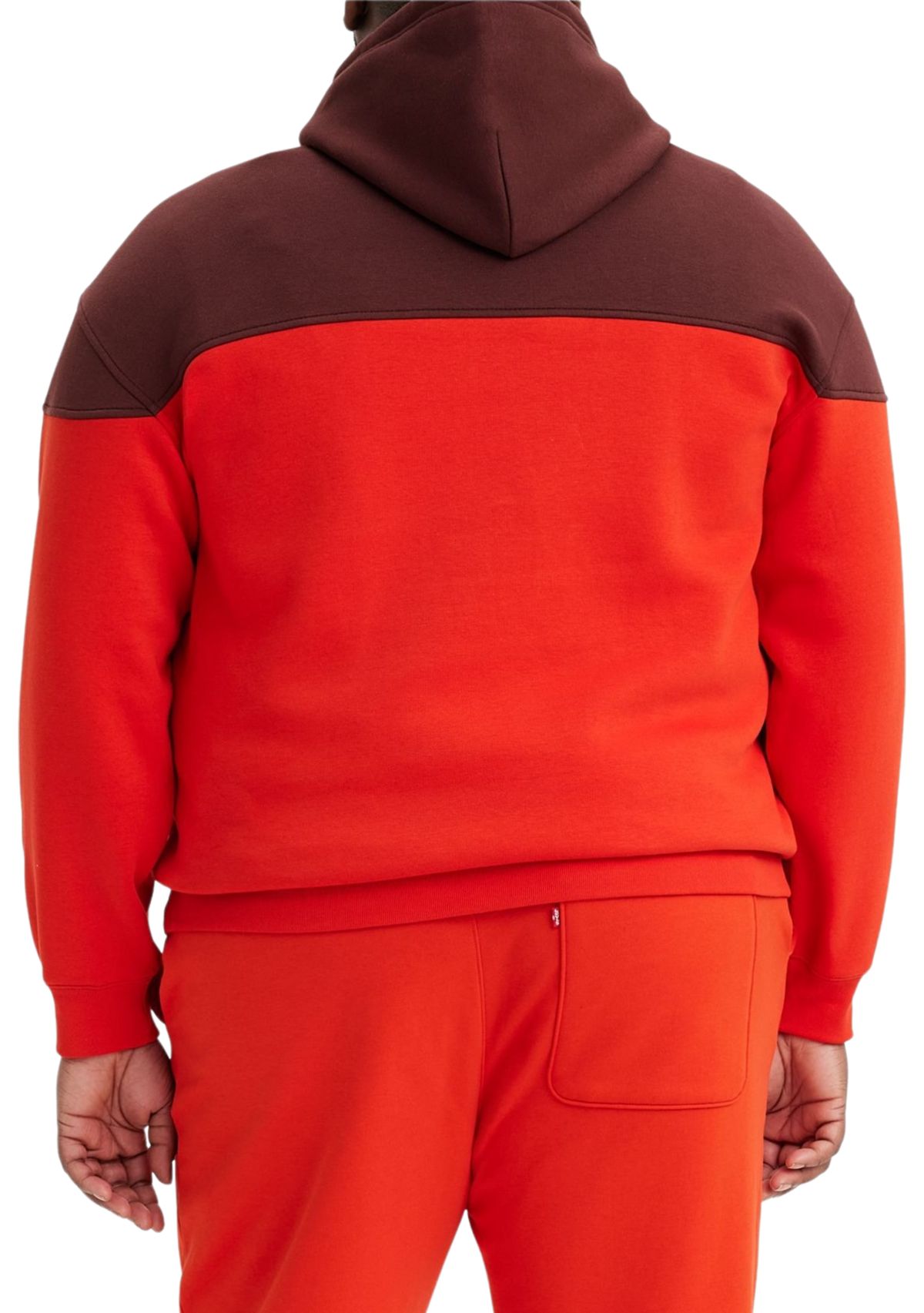 Big & Tall Color Block Hoodie