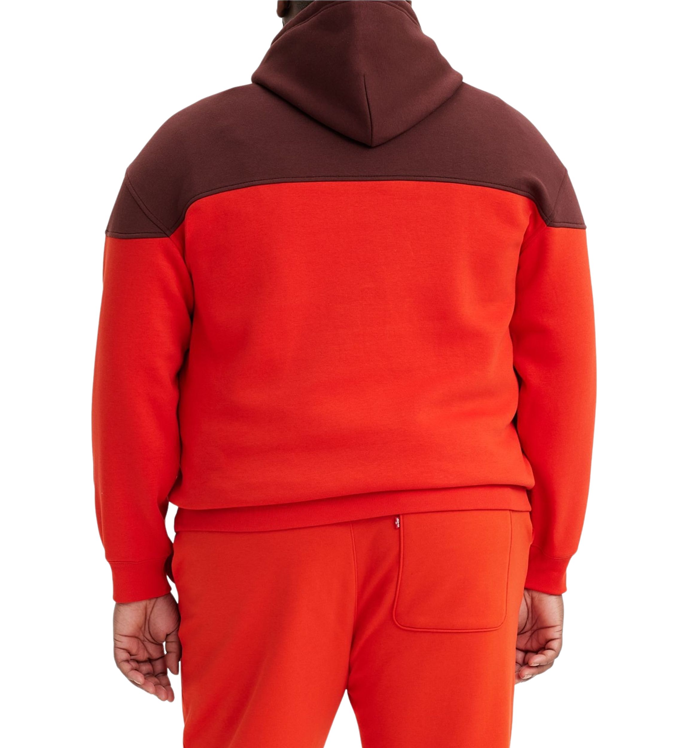Big & Tall Color Block Hoodie