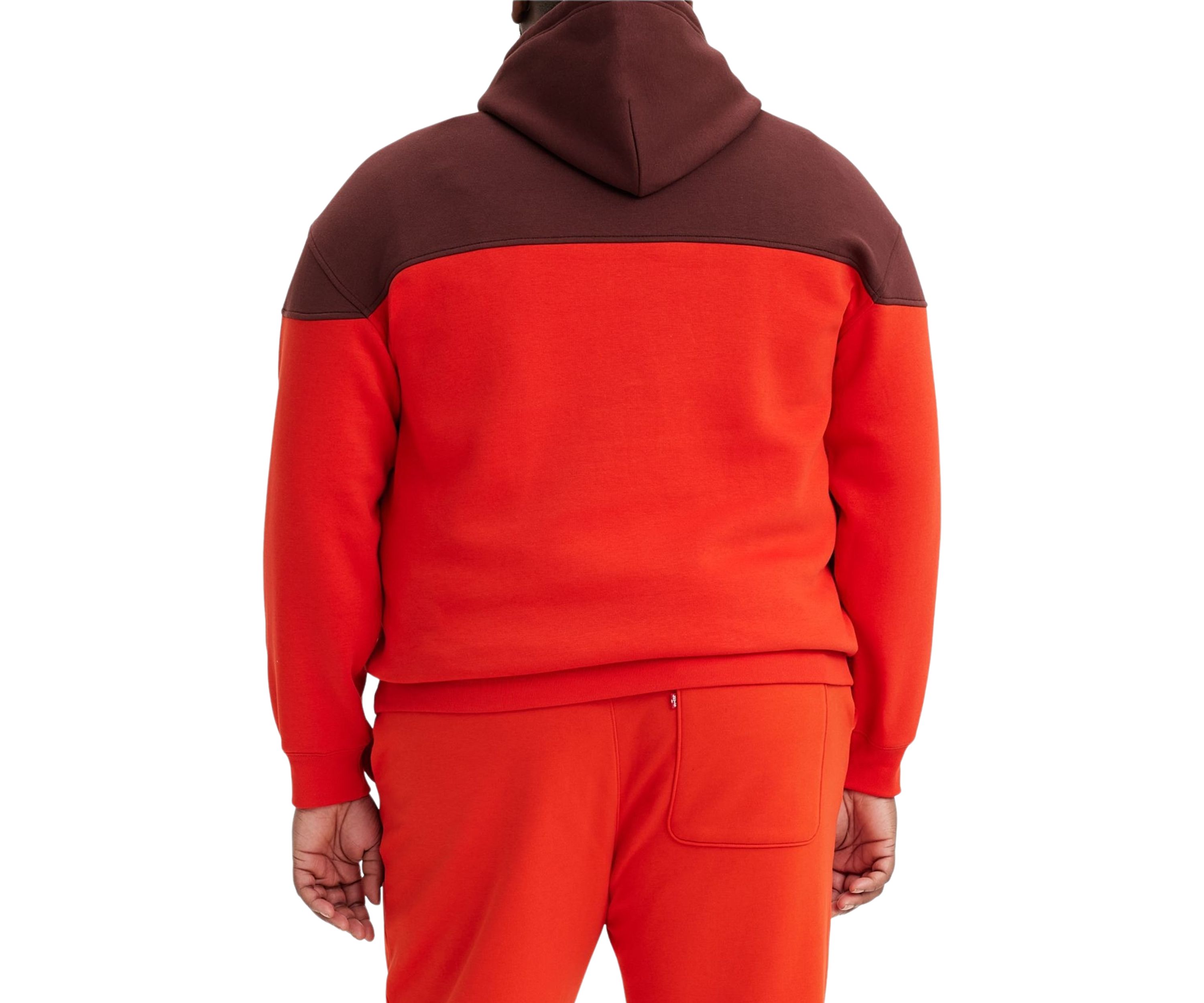 Big & Tall Color Block Hoodie