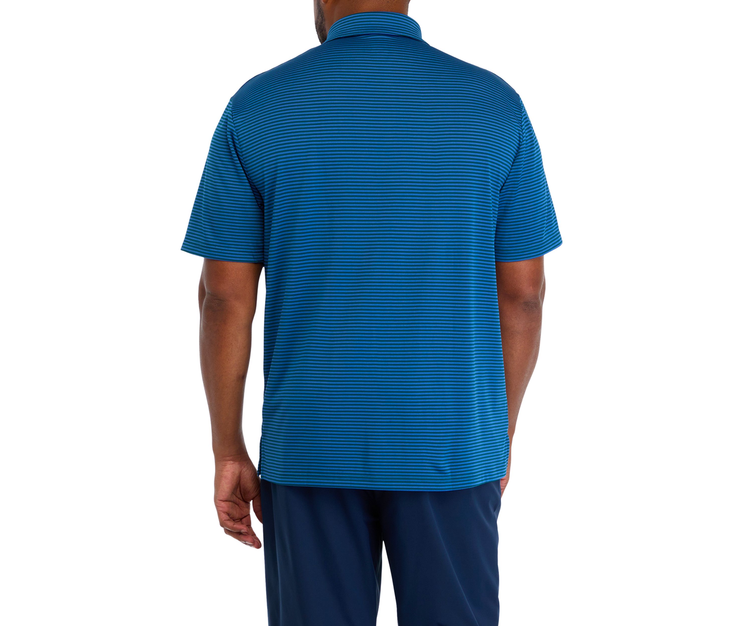 Big & Tall Yarn Dyed Stripe Polo Shirt