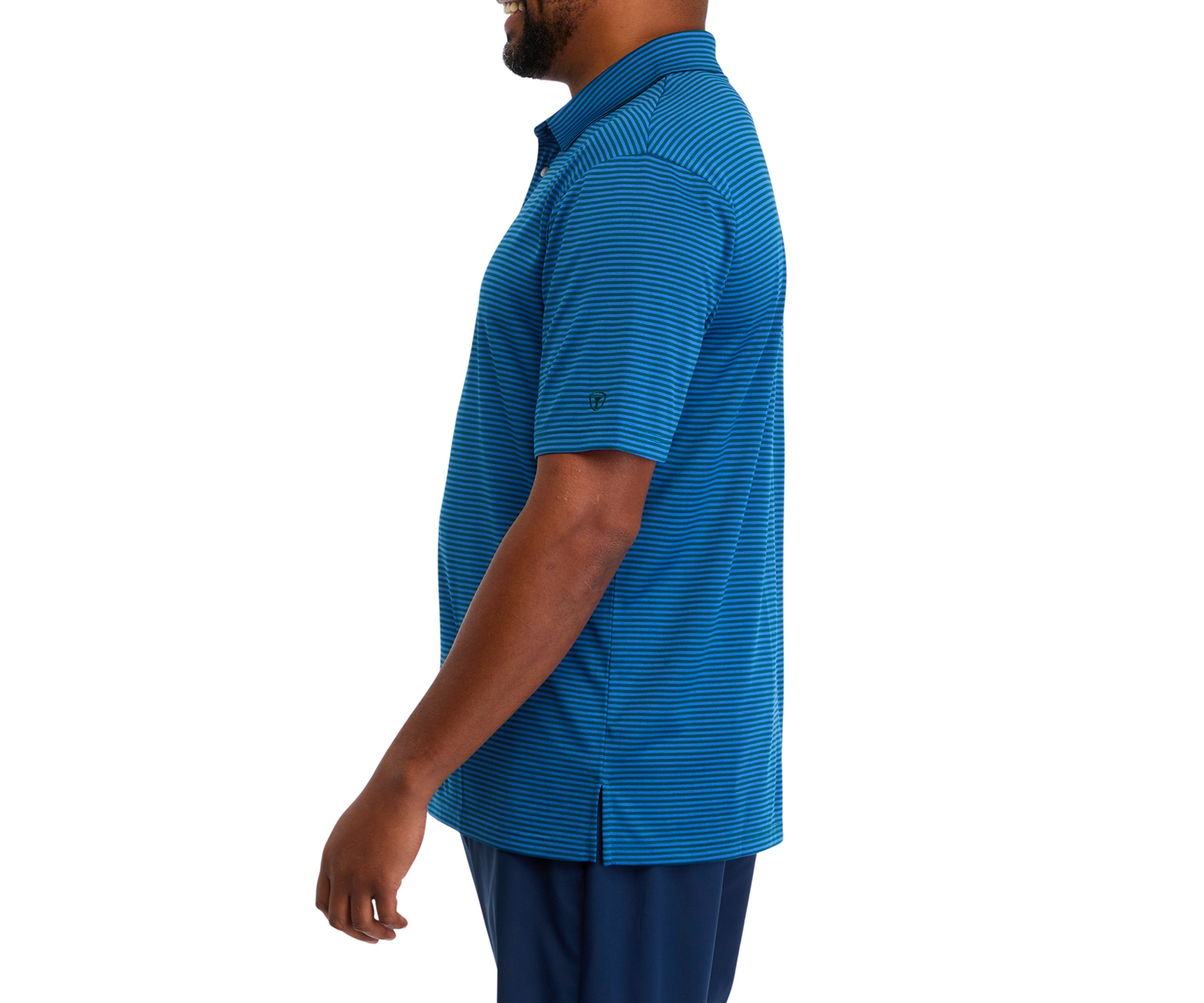 Big & Tall Yarn Dyed Stripe Polo Shirt