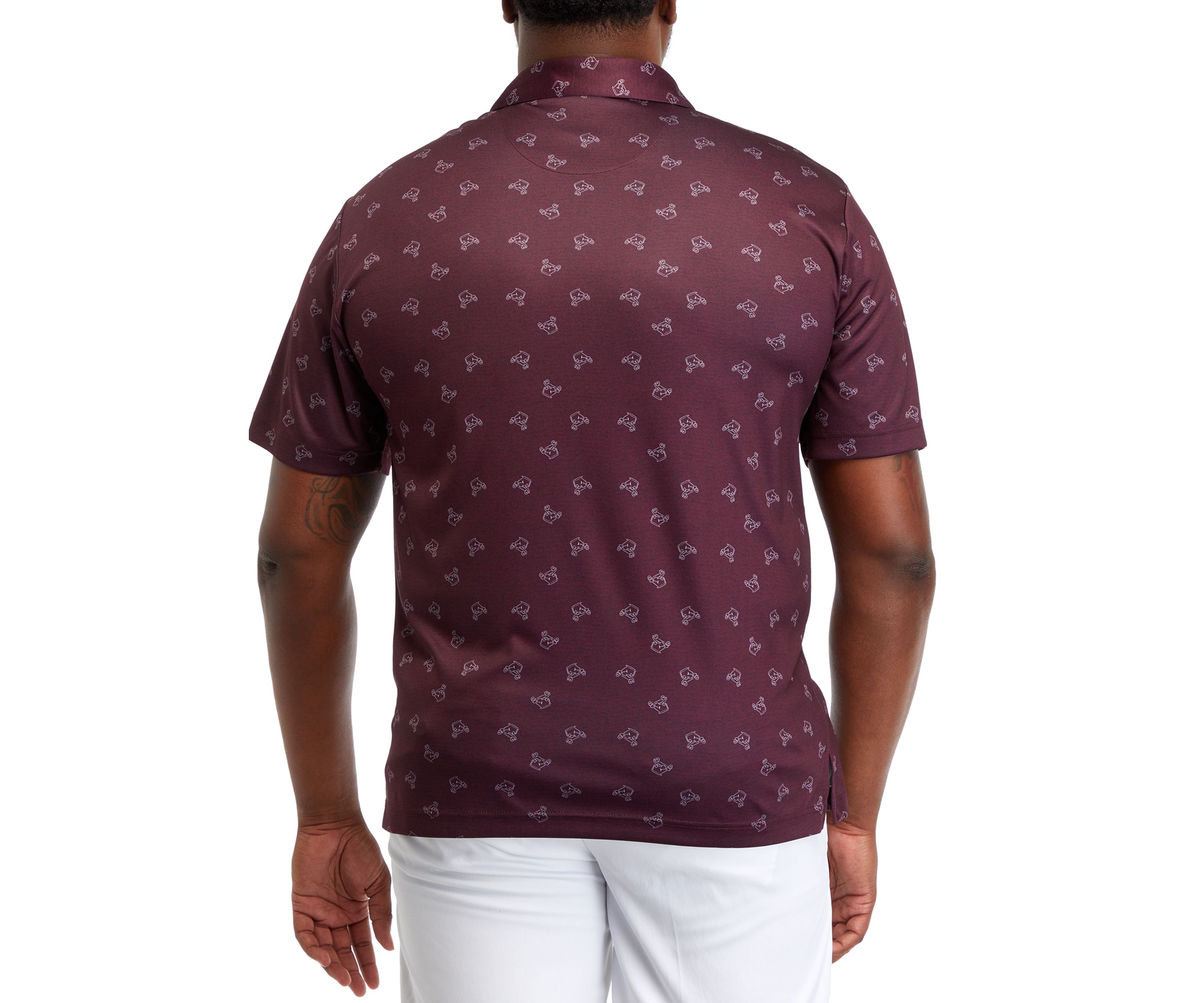 Big & Tall Printed Polo Shirt 
