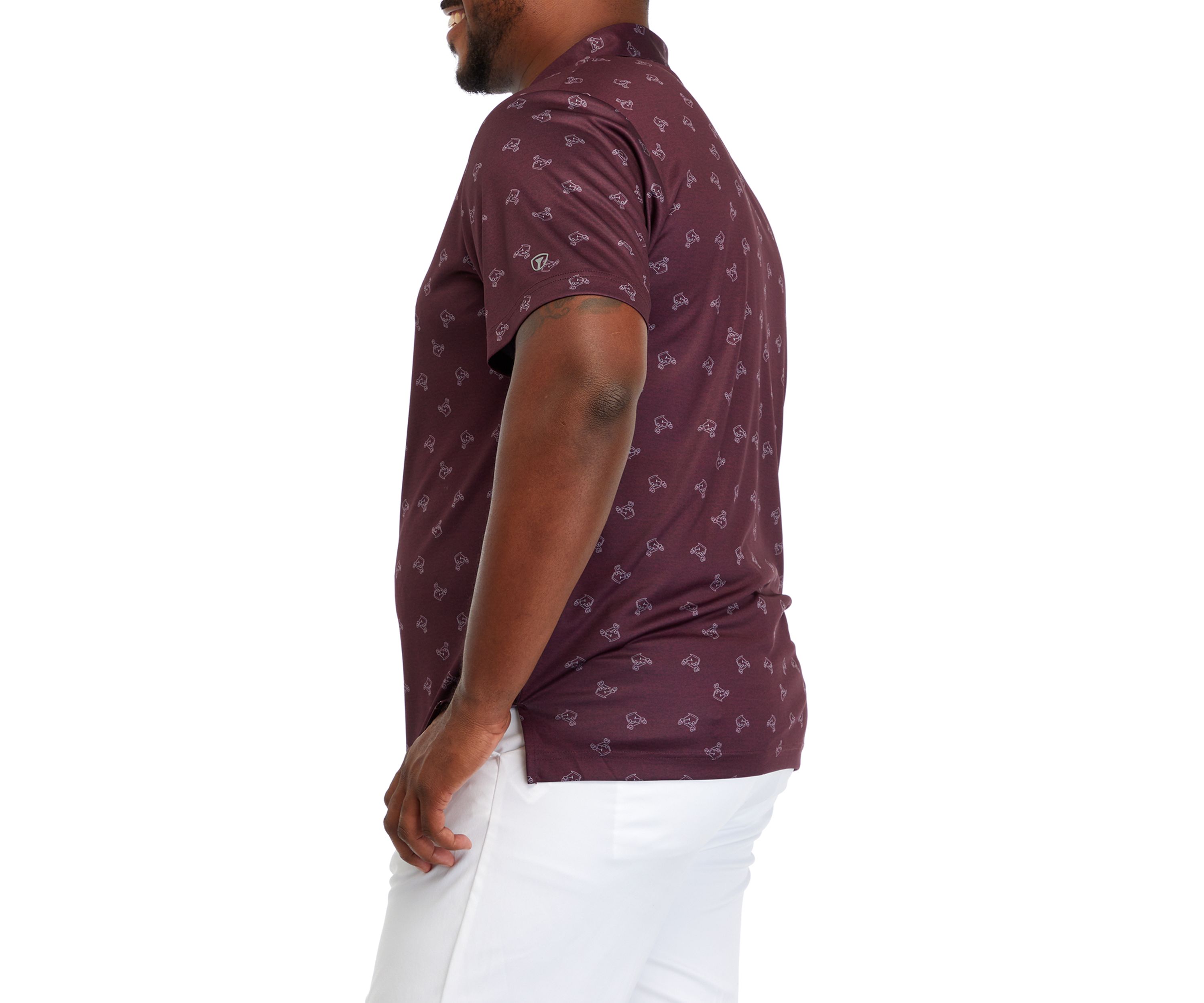 Big & Tall Printed Polo Shirt 