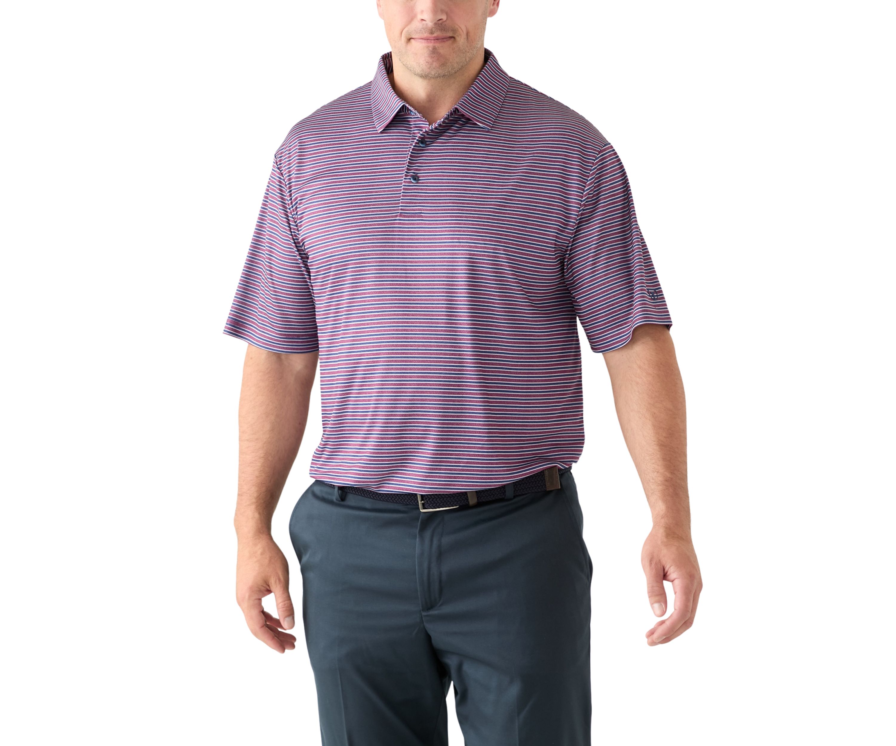 Big & Tall Multi Stripe Polo Shirt
