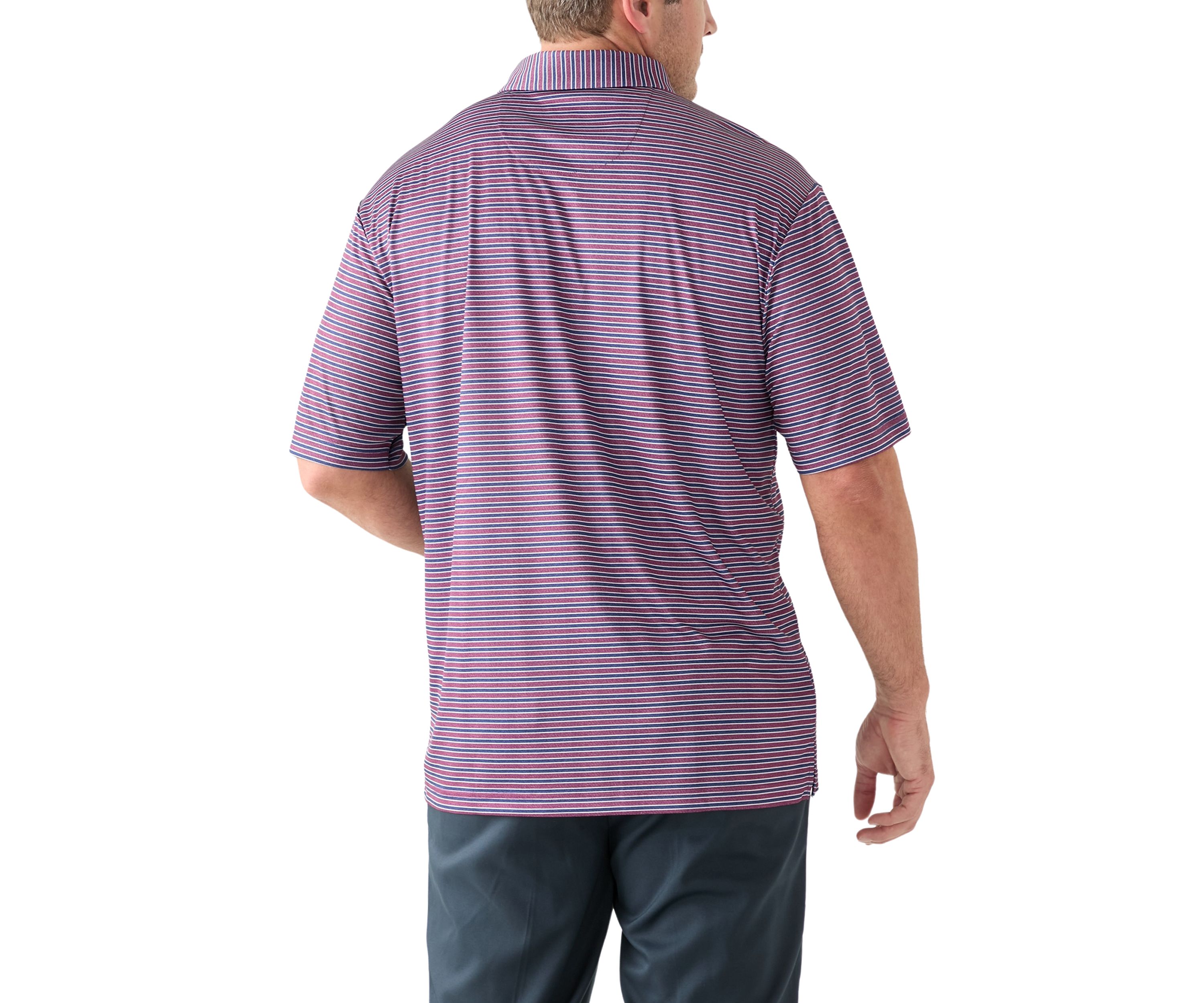 Big & Tall Multi Stripe Polo Shirt