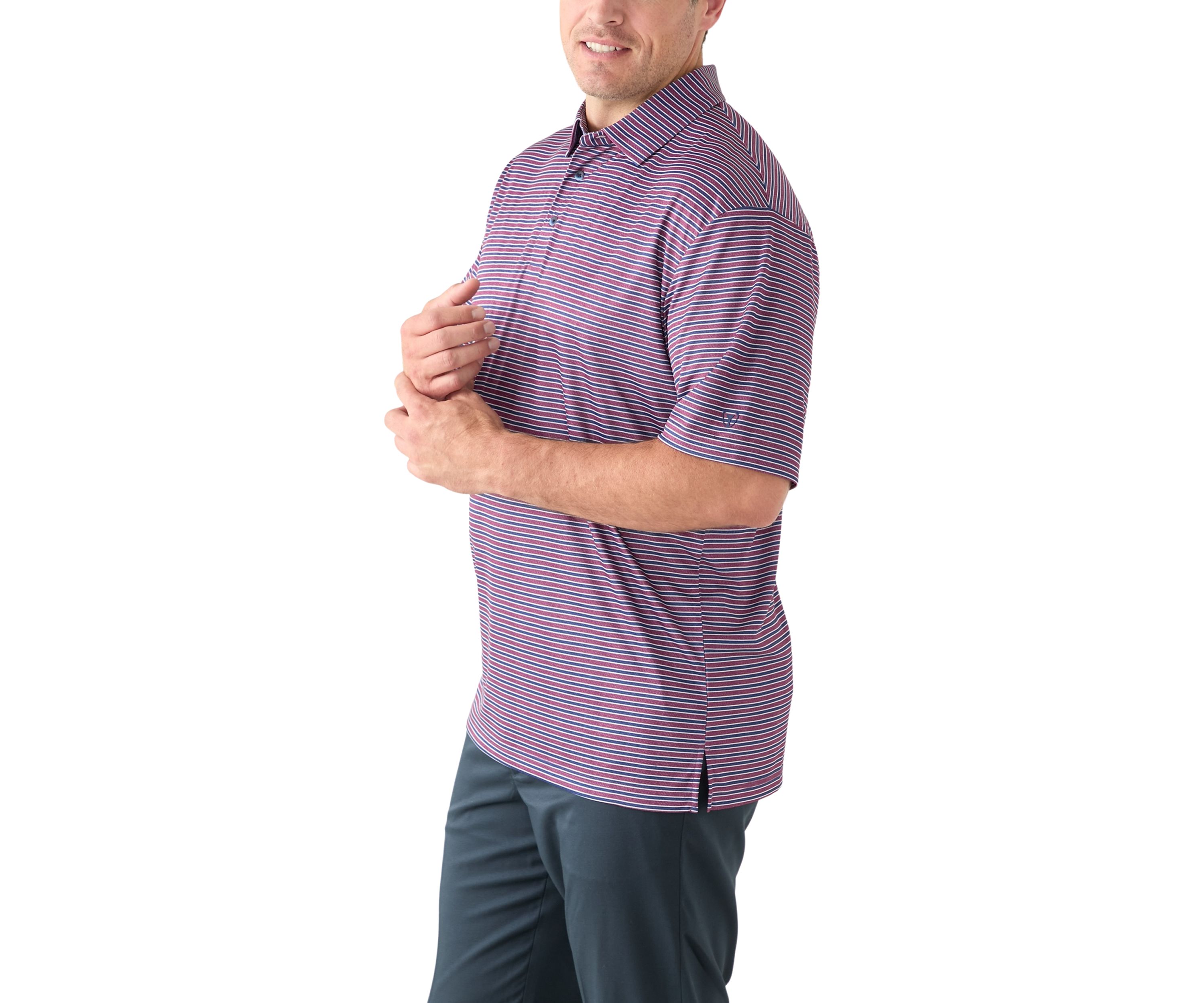 Big & Tall Multi Stripe Polo Shirt