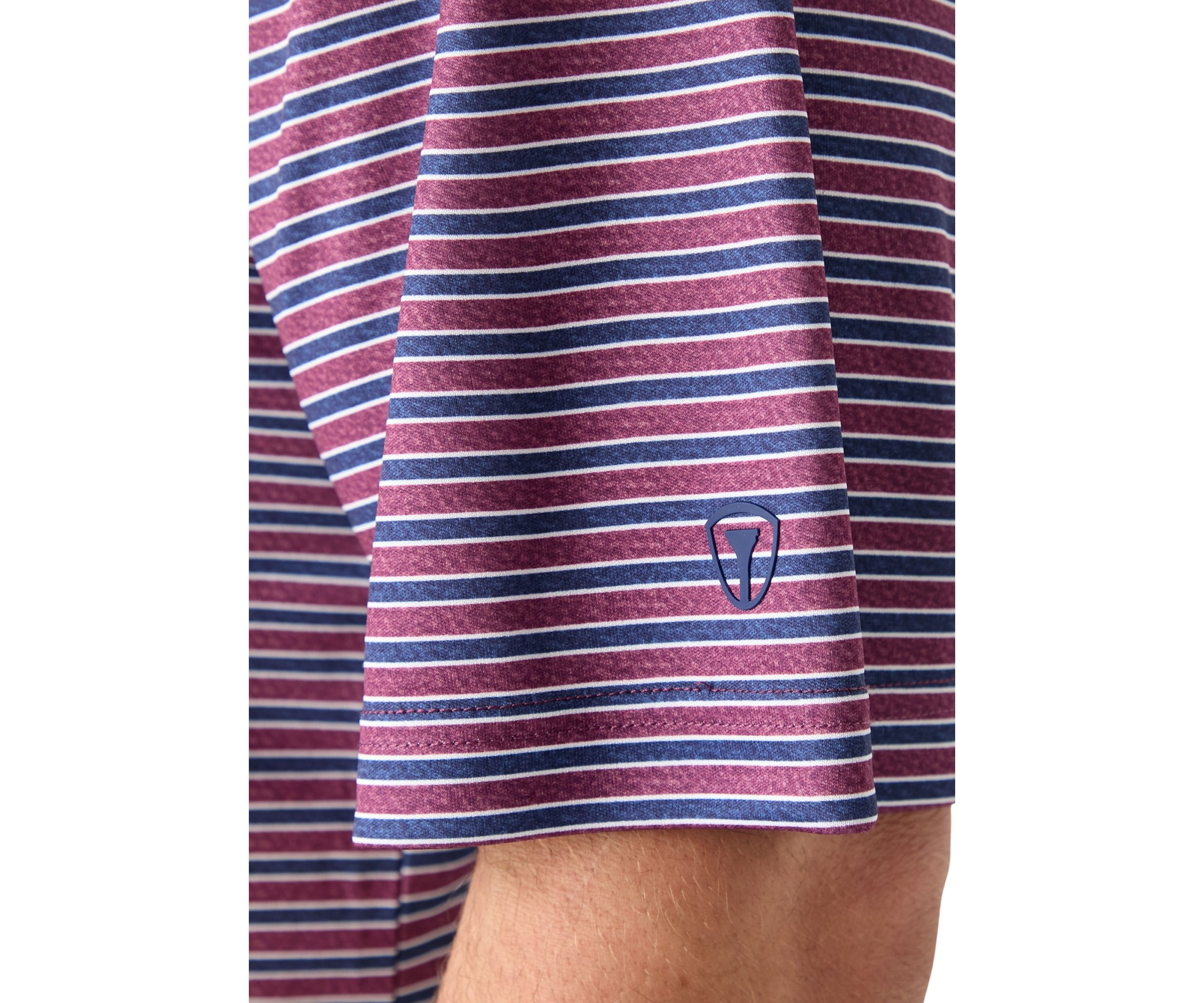 Big & Tall Multi Stripe Polo Shirt