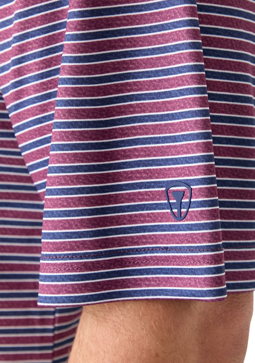 Big & Tall Multi Stripe Polo Shirt