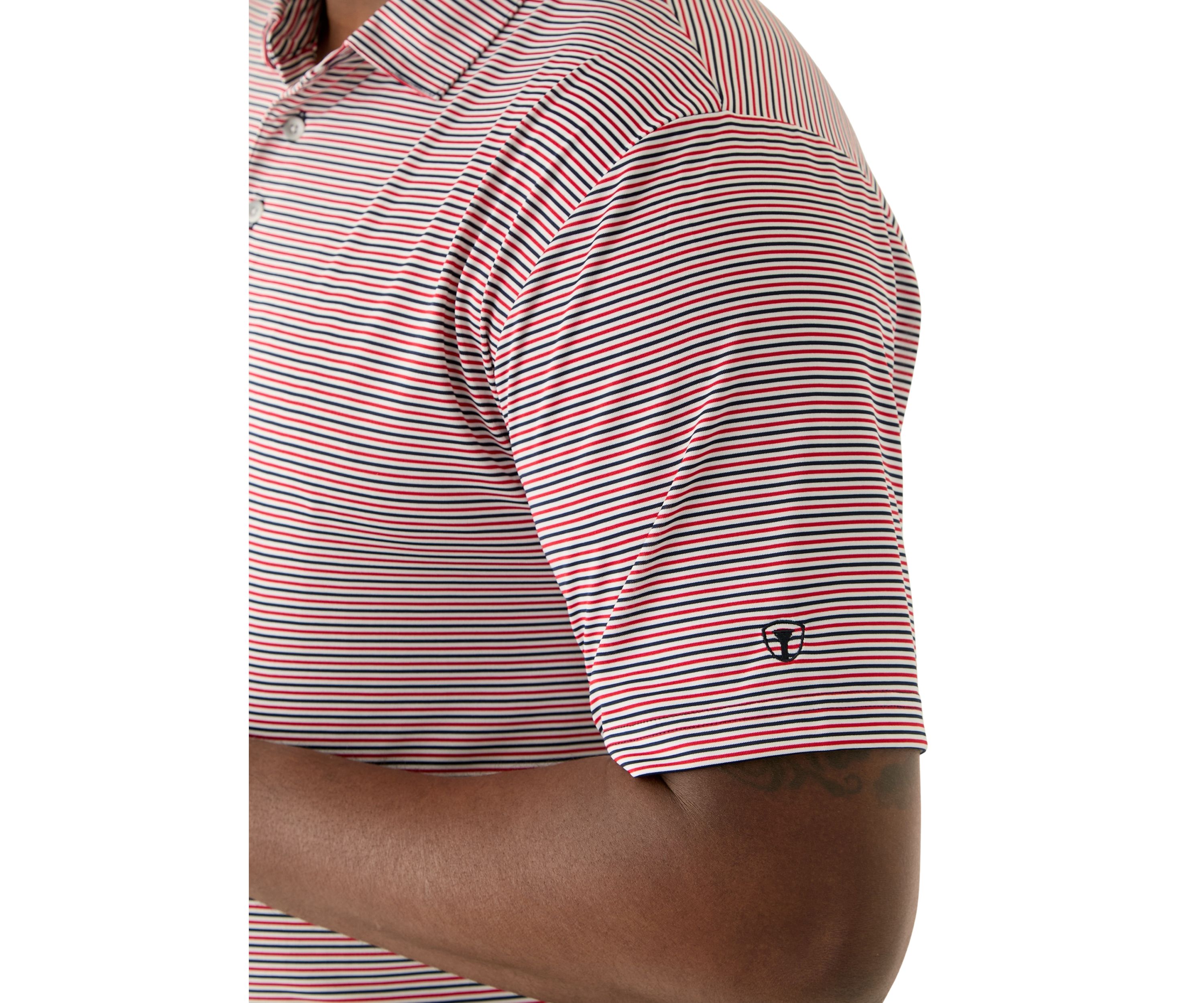 Big & Tall American Stripe Polo Shirt