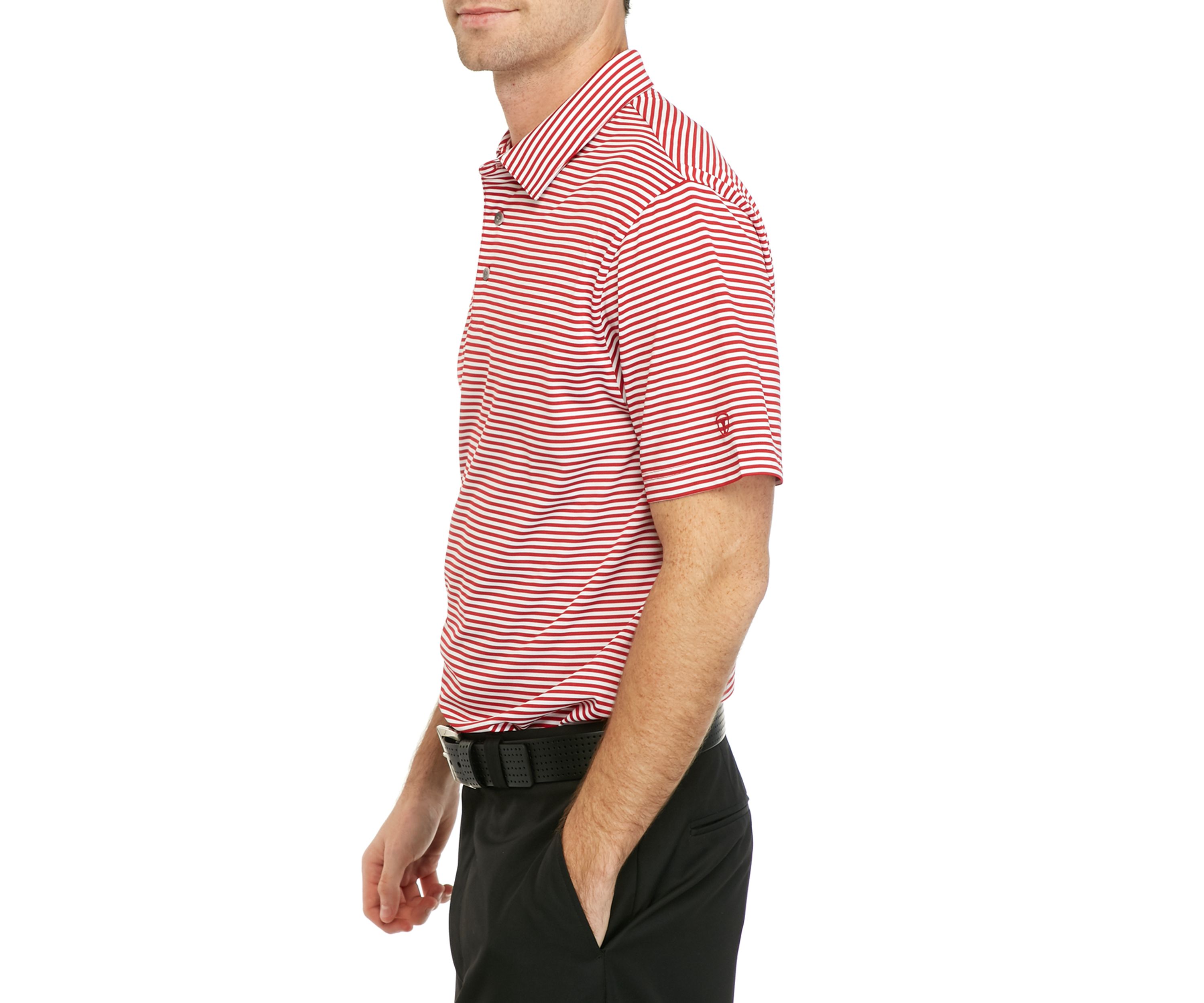 Stripe Polo Shirt with Collar 