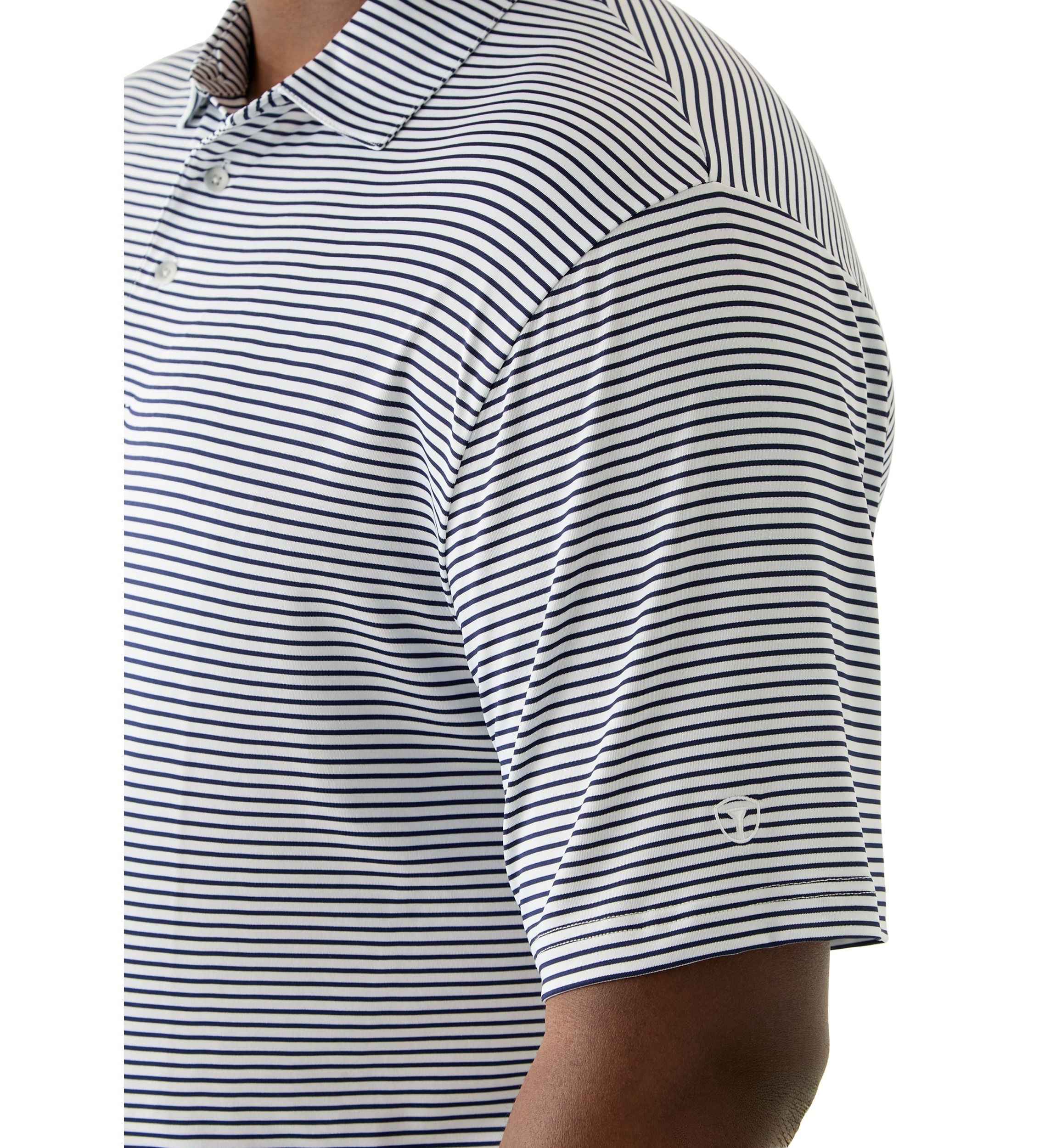 Big & Tall Feeder Stripe Polo Shirt