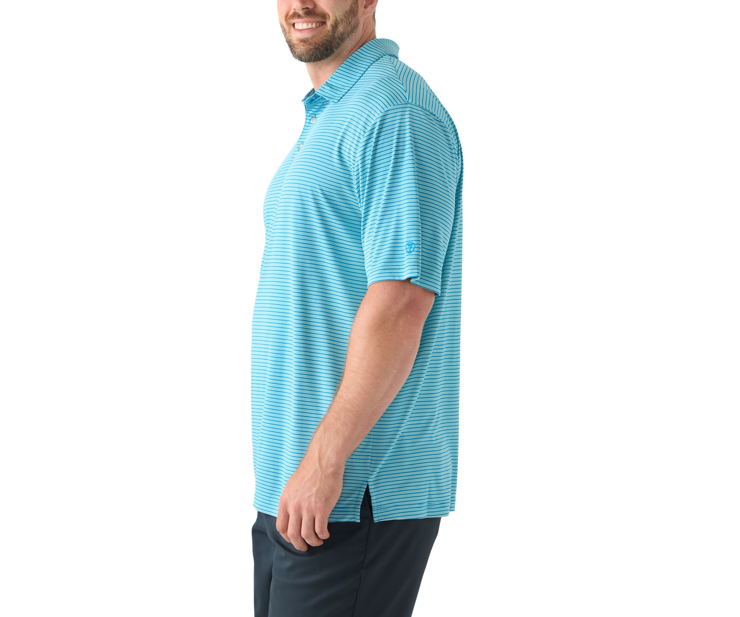 Big & Tall Short Sleeve 3 Count Stripe Polo Shirt