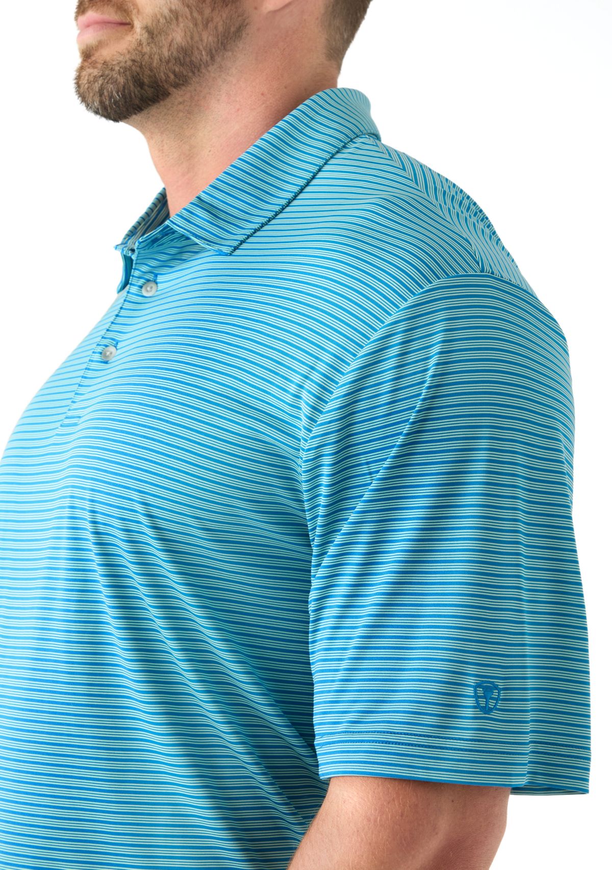 Big & Tall Short Sleeve 3 Count Stripe Polo Shirt