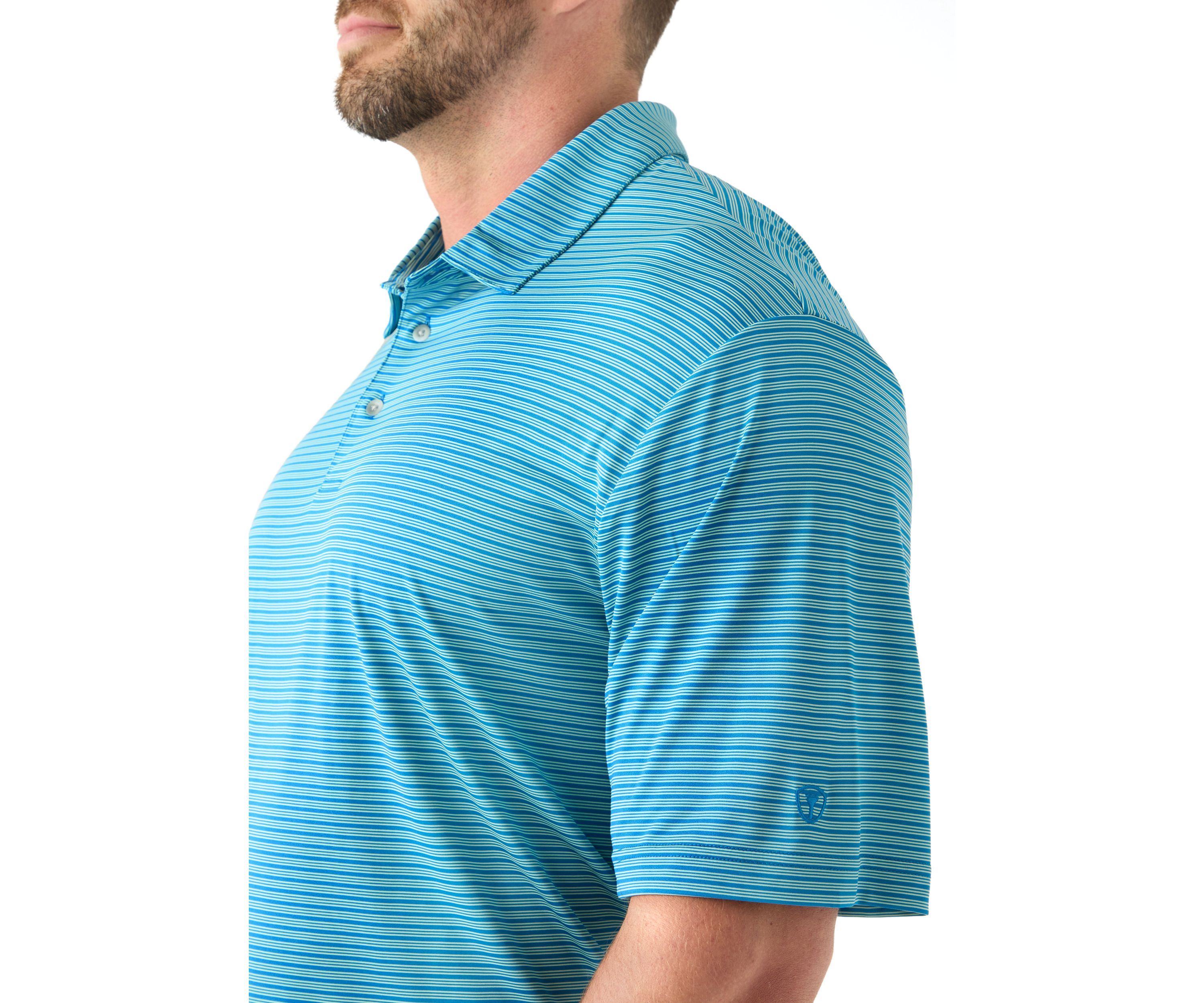 Big & Tall Short Sleeve 3 Count Stripe Polo Shirt