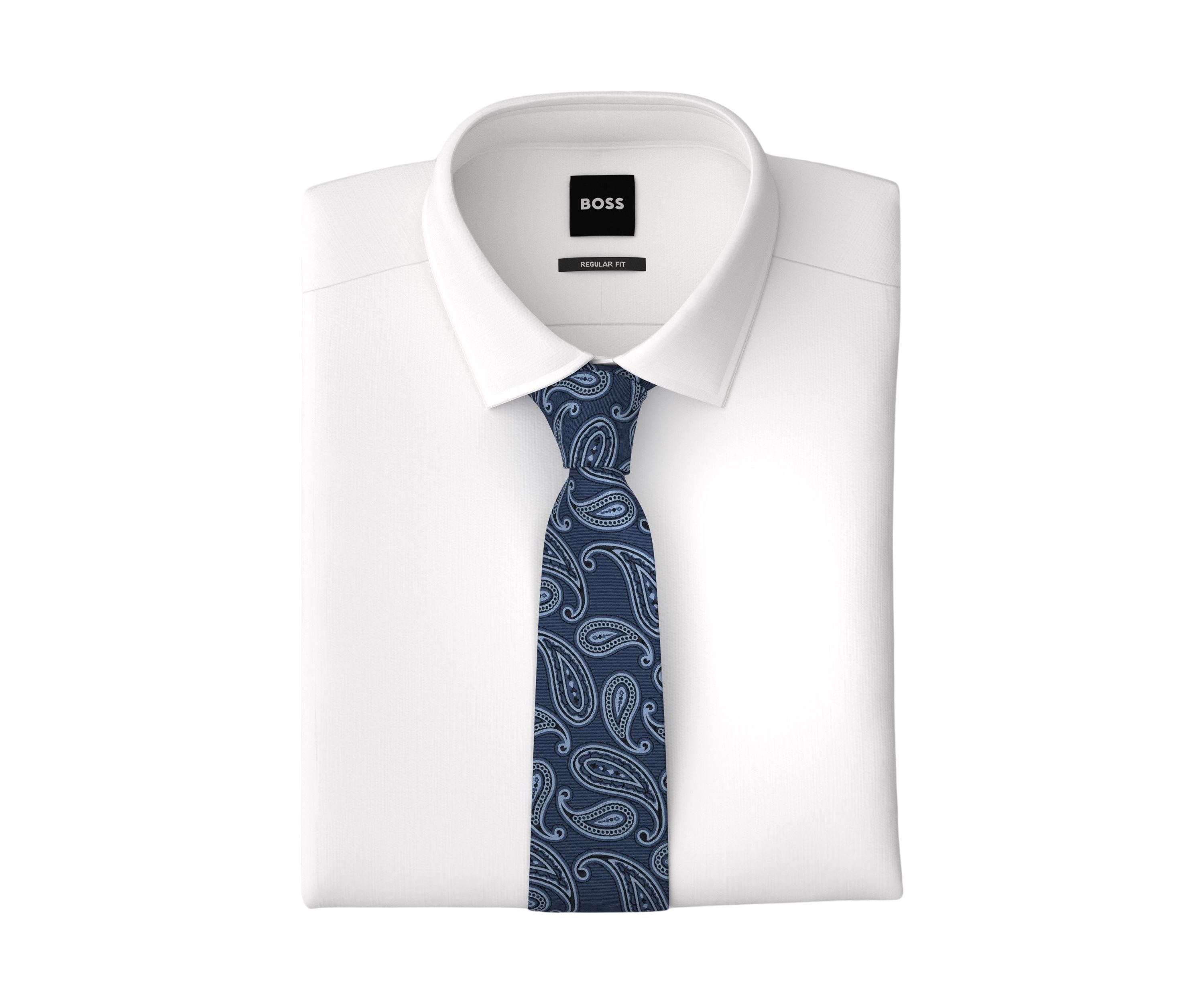Paisley Silk Tie