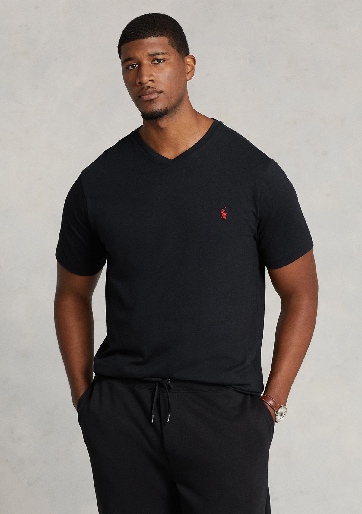 Big & Tall Cotton Jersey V-Neck T-Shirt