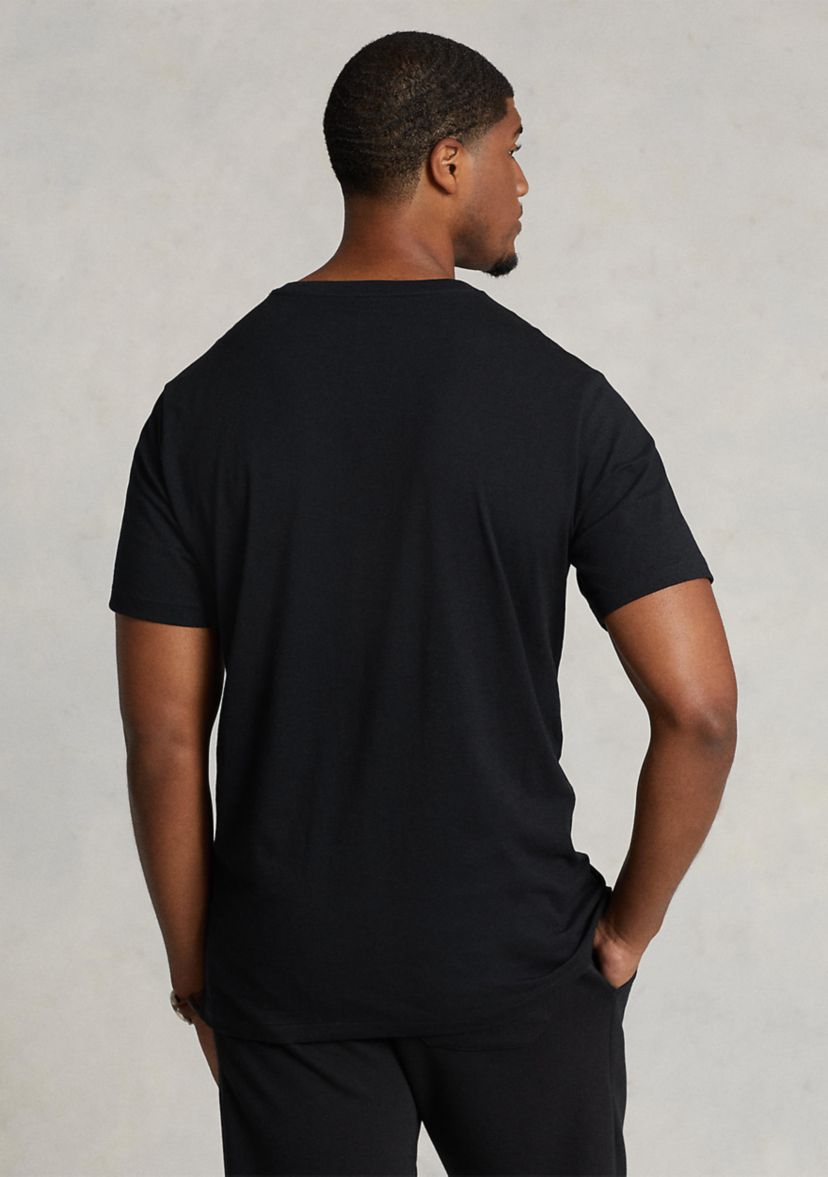 Big & Tall Cotton Jersey V-Neck T-Shirt