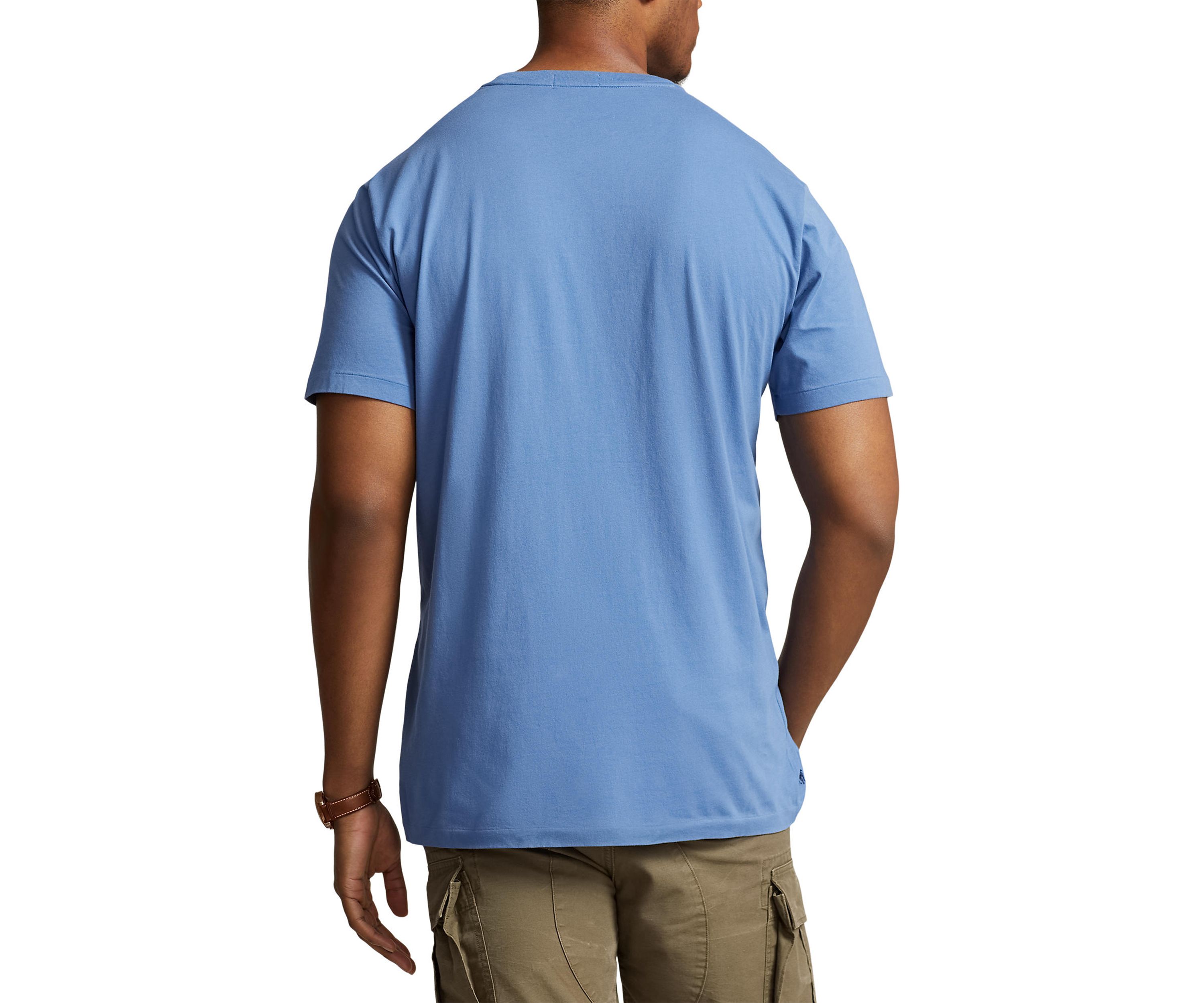 Big & Tall Logo Jersey T-Shirt