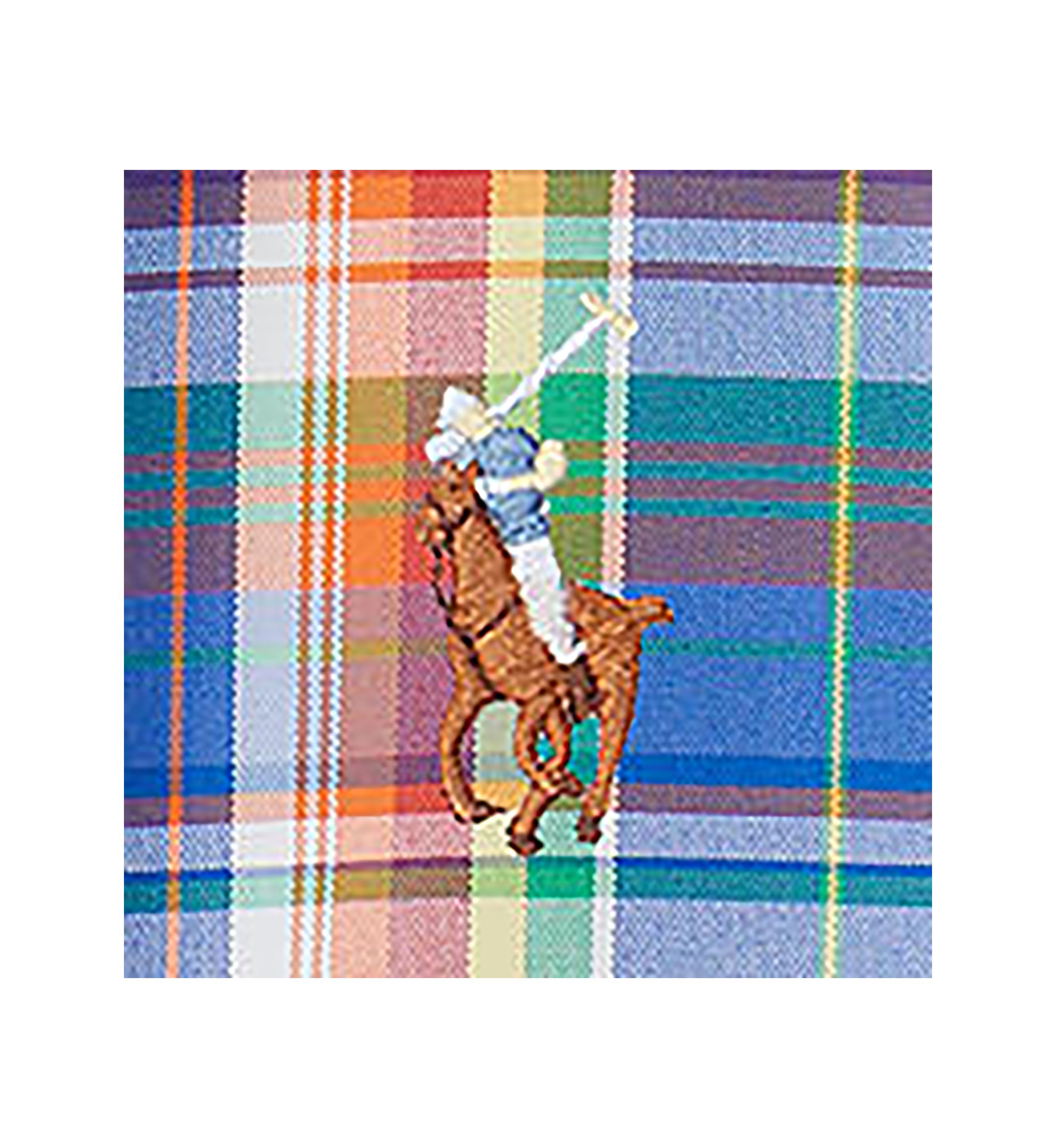 Classic Fit Plaid Oxford Shirt