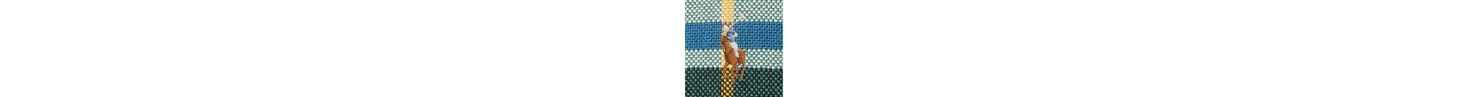 Plaid Oxford Ball Cap
