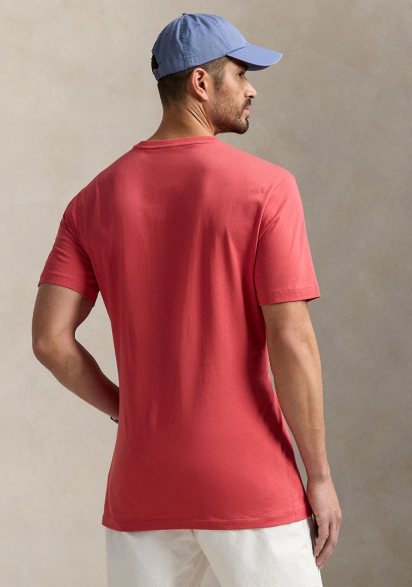 Big & Tall Jersey V-Neck T-Shirt