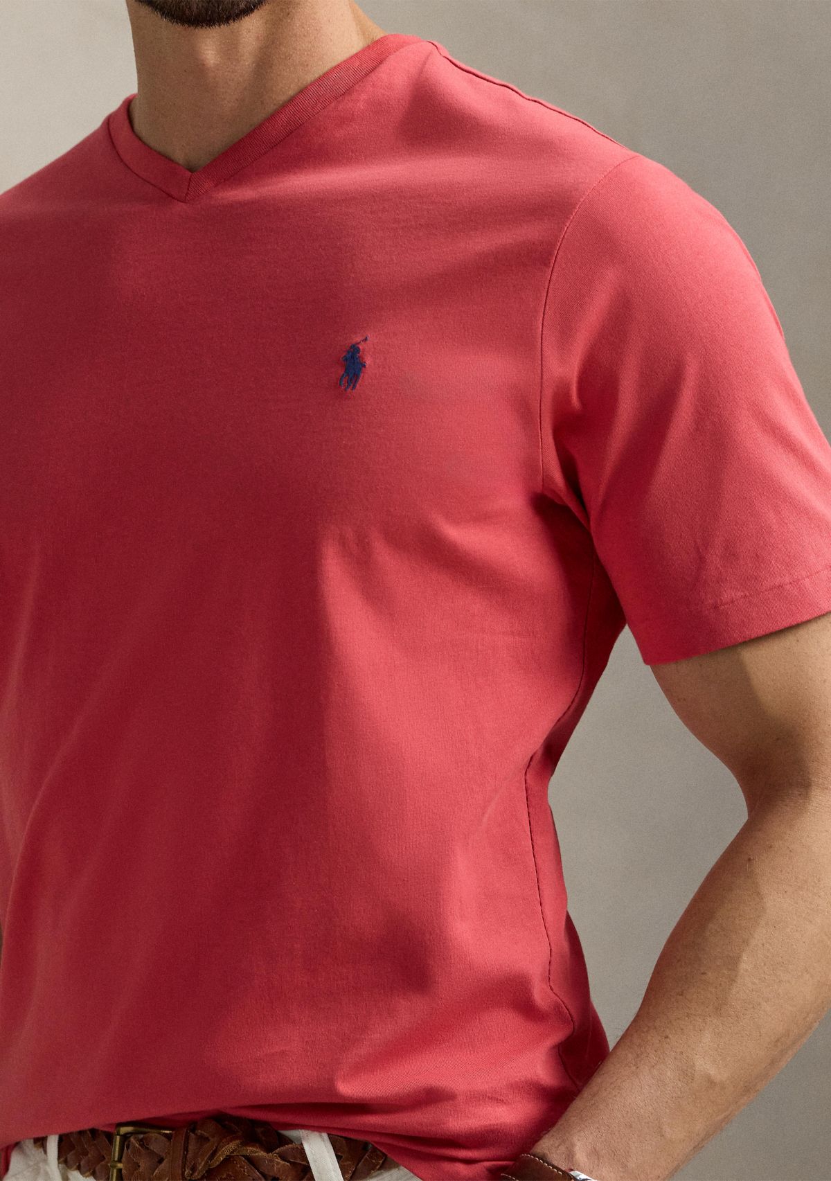 Big & Tall Jersey V-Neck T-Shirt