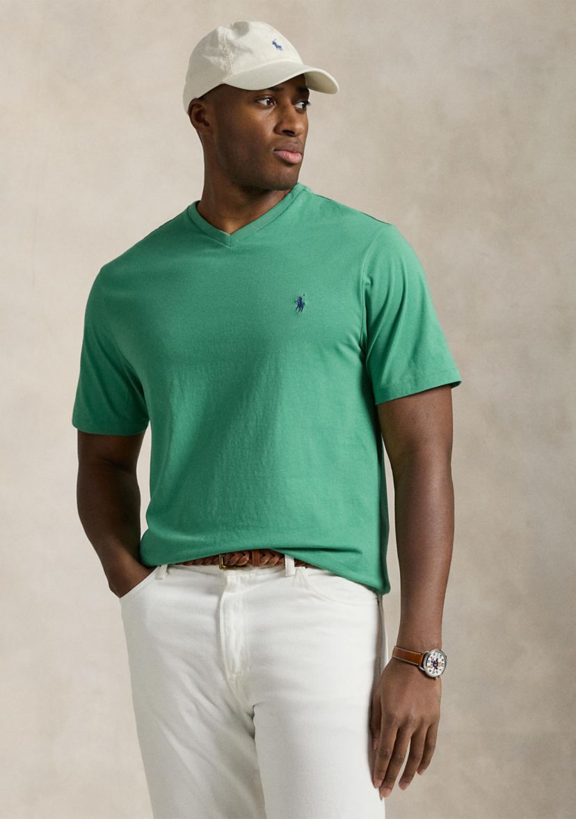 Big & Tall Jersey V-Neck T-Shirt