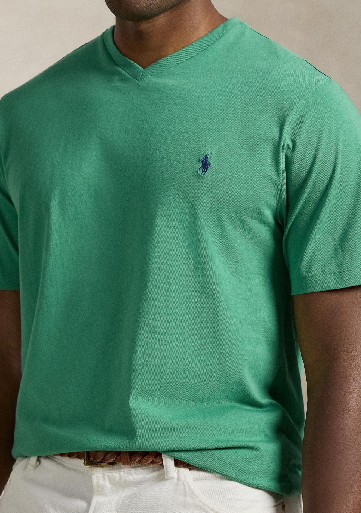 Big & Tall Jersey V-Neck T-Shirt