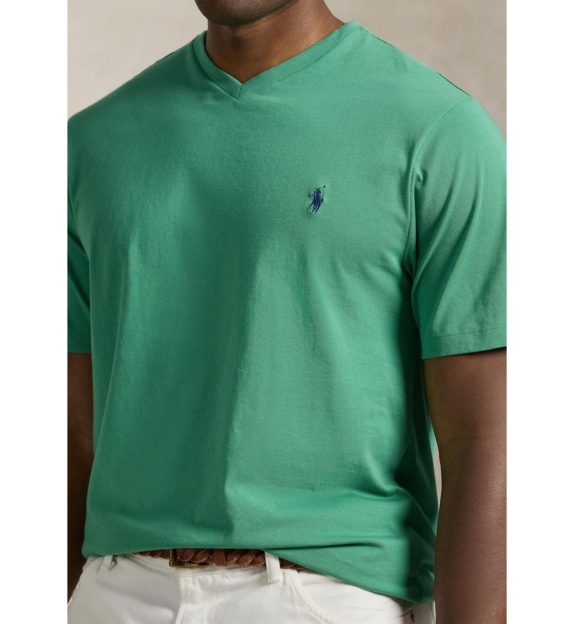 Big & Tall Jersey V-Neck T-Shirt