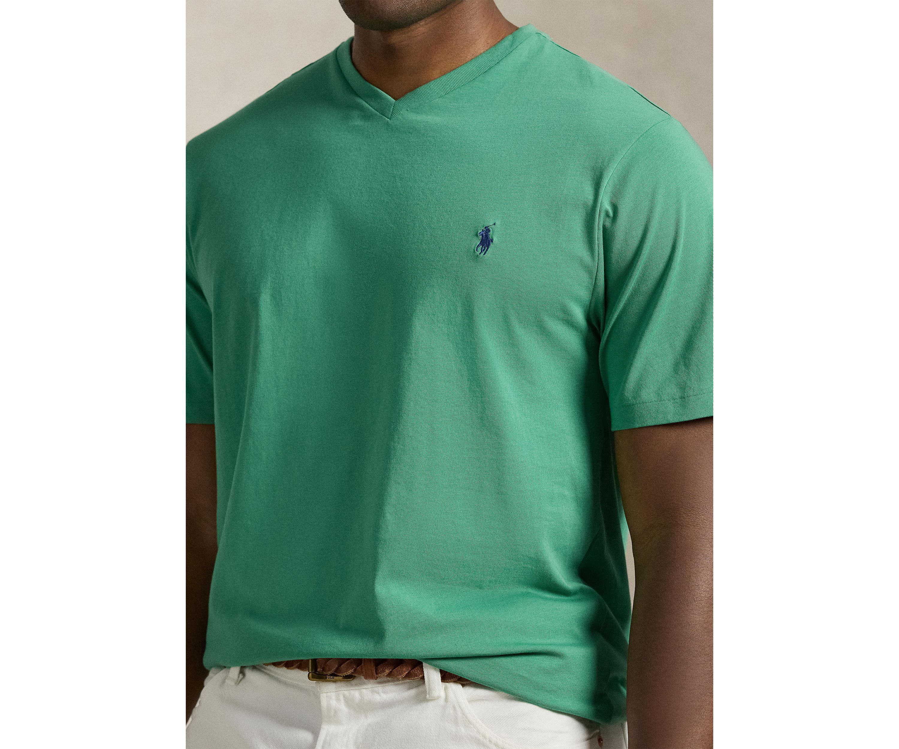 Big & Tall Jersey V-Neck T-Shirt