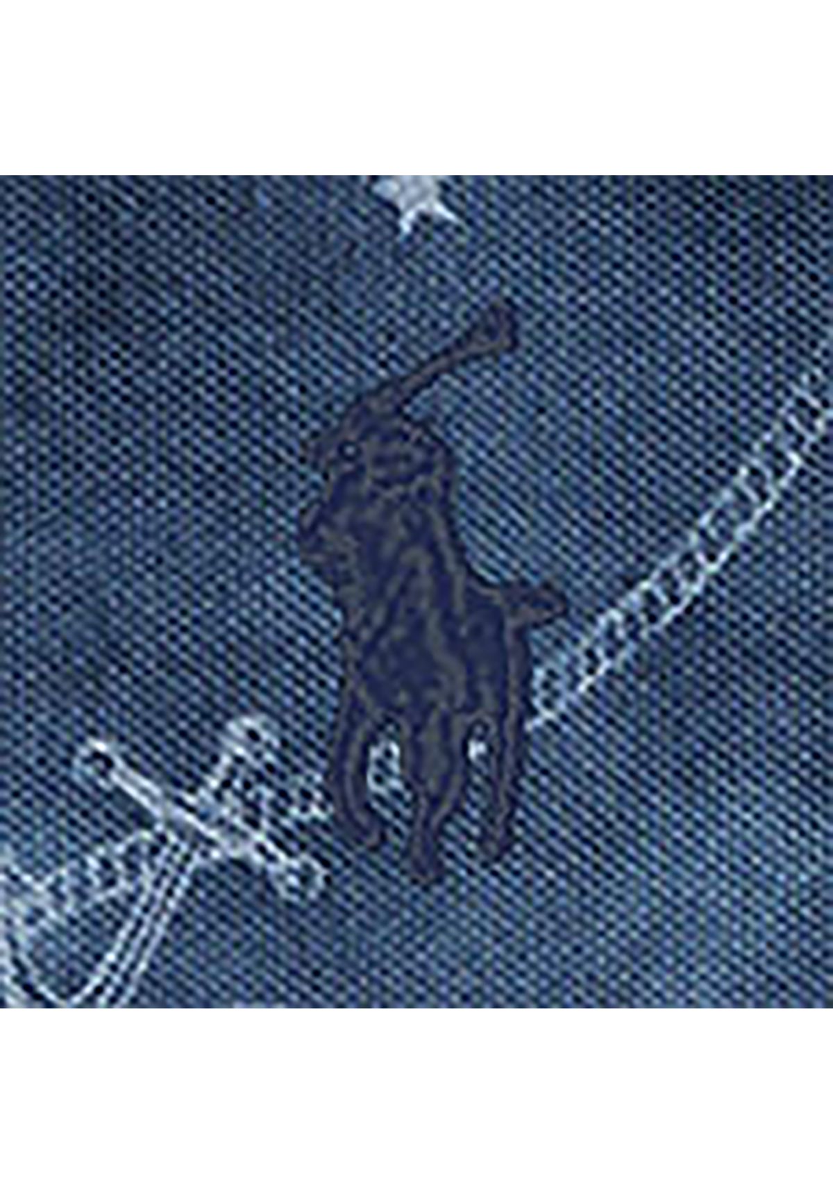 Big & Tall Printed Mesh Polo Shirt