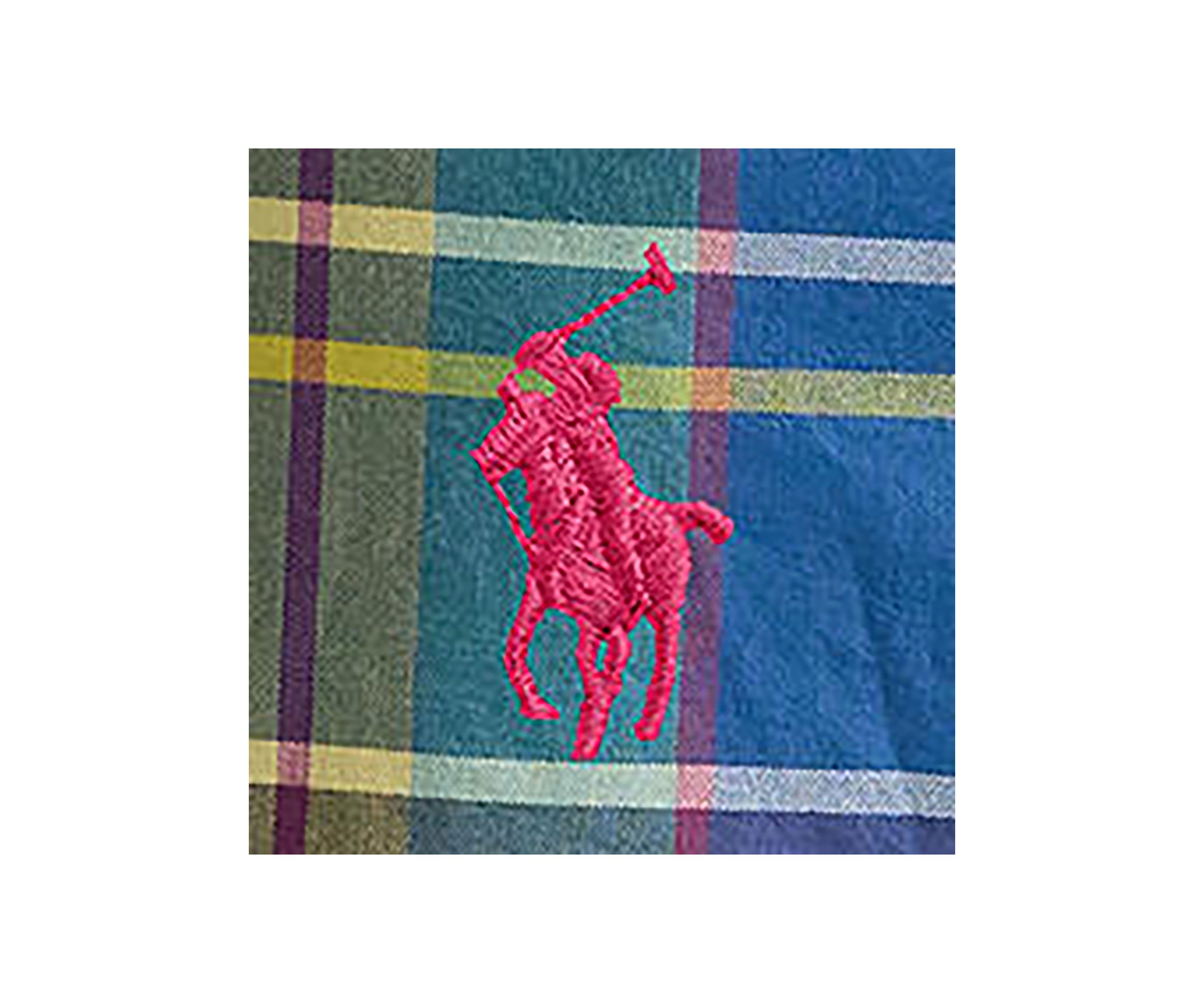 Big & Tall Plaid Oxford Shirt