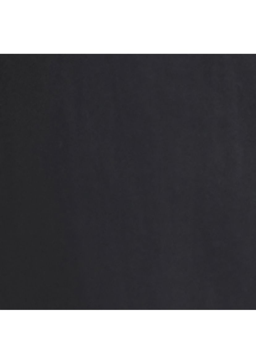 Big & Tall Quick Dry Swim Trunks