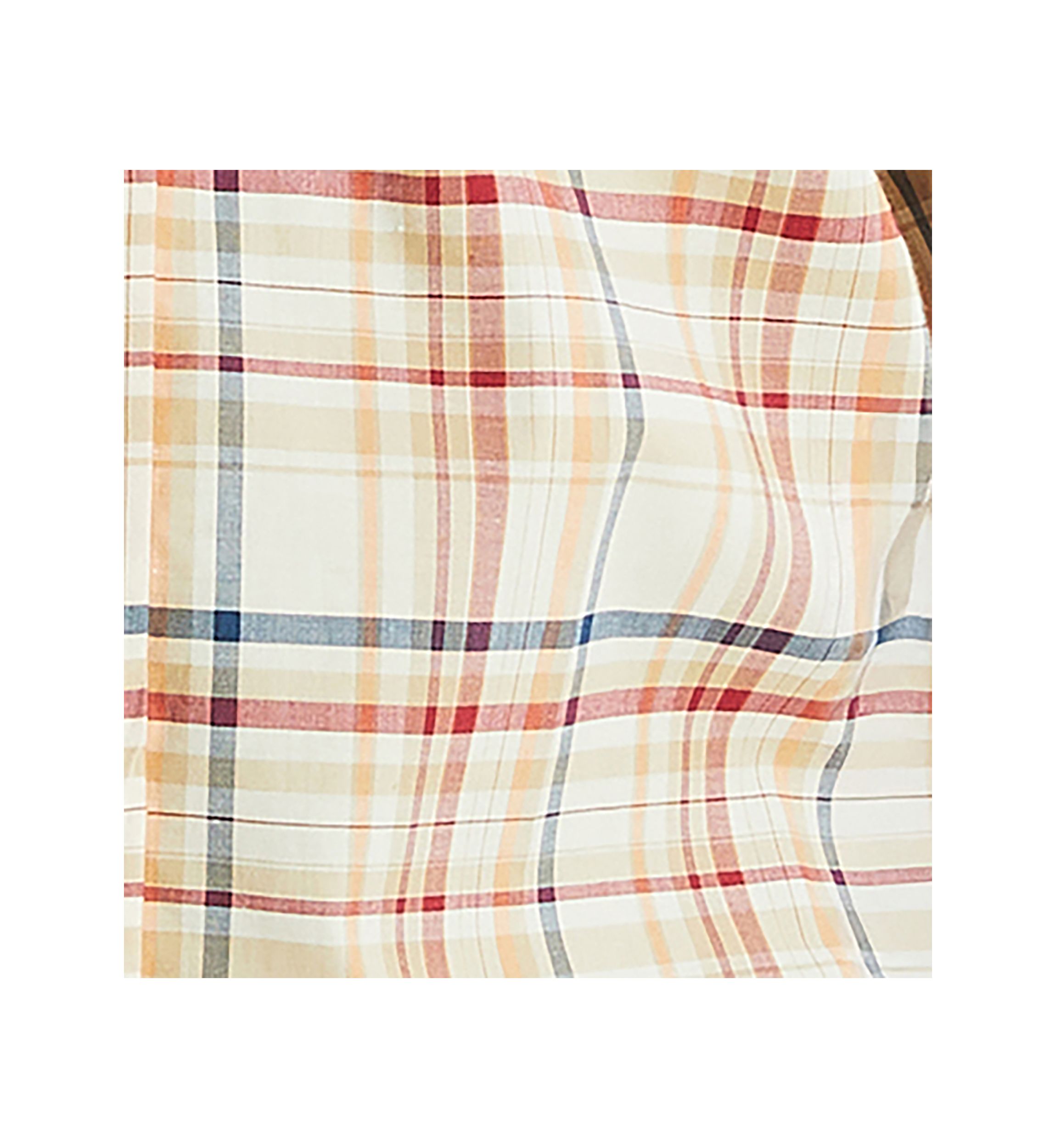 Big & Tall Plaid Shirt