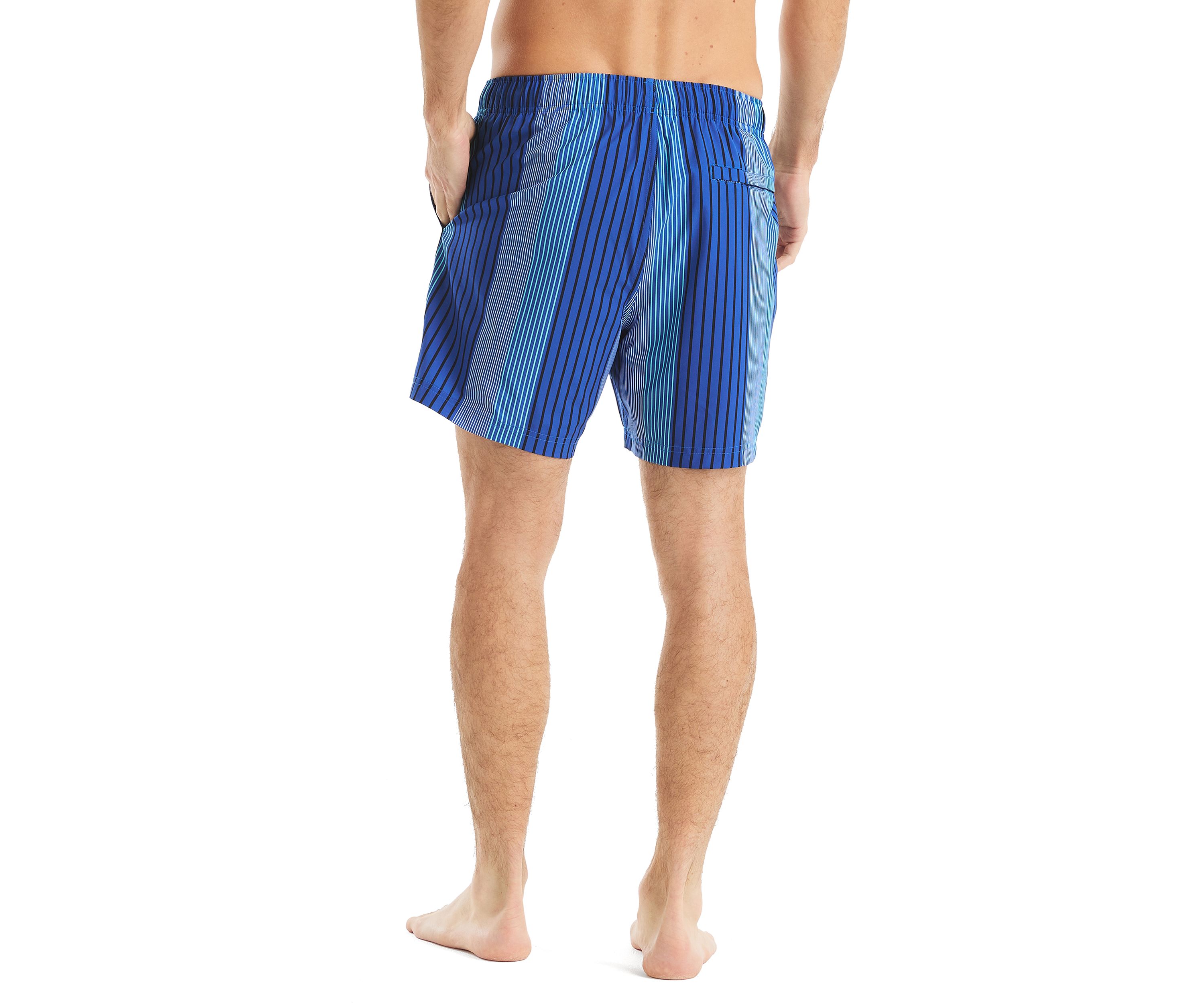 6" Striped Quick Dry Swim Shorts