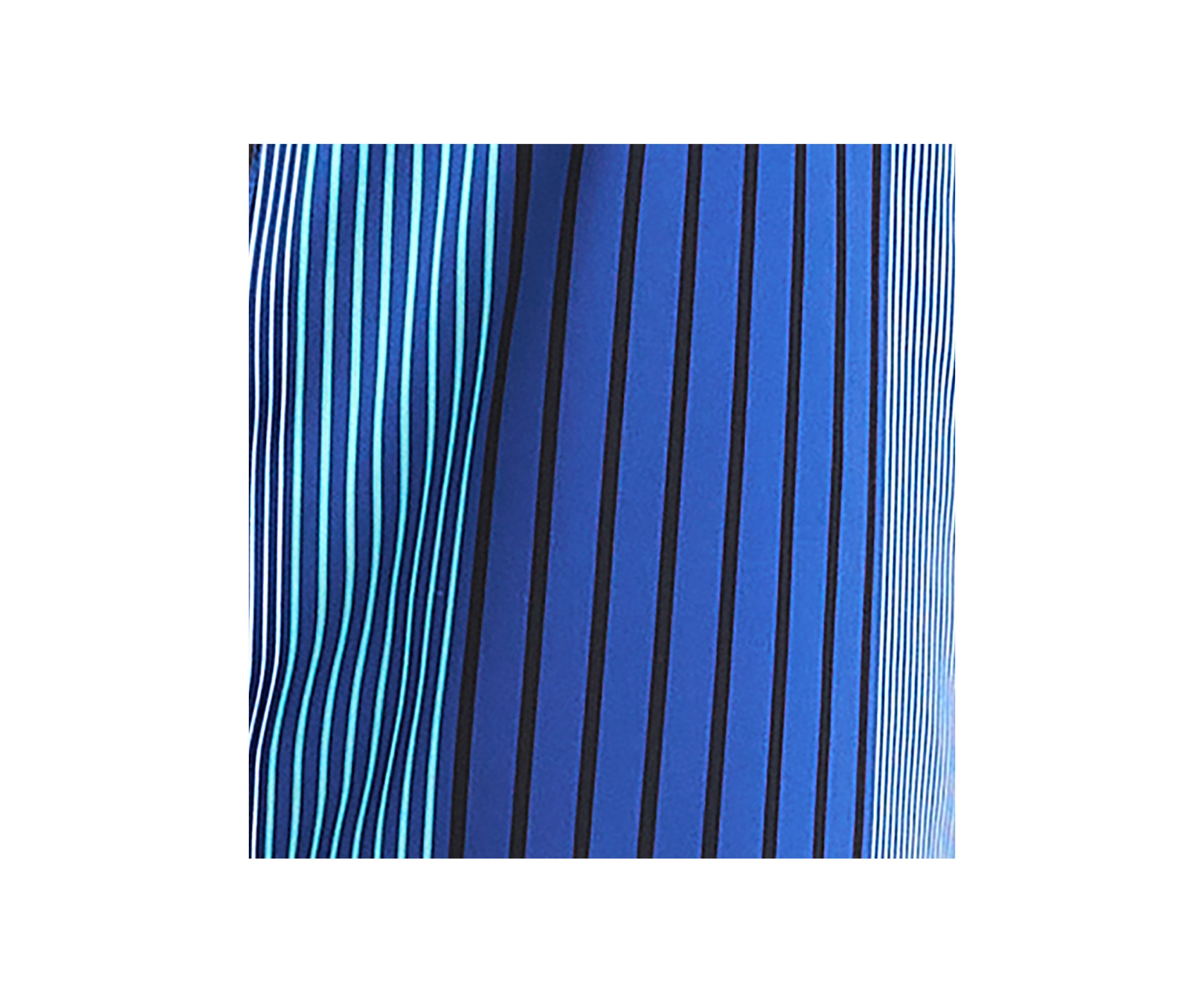 6" Striped Quick Dry Swim Shorts