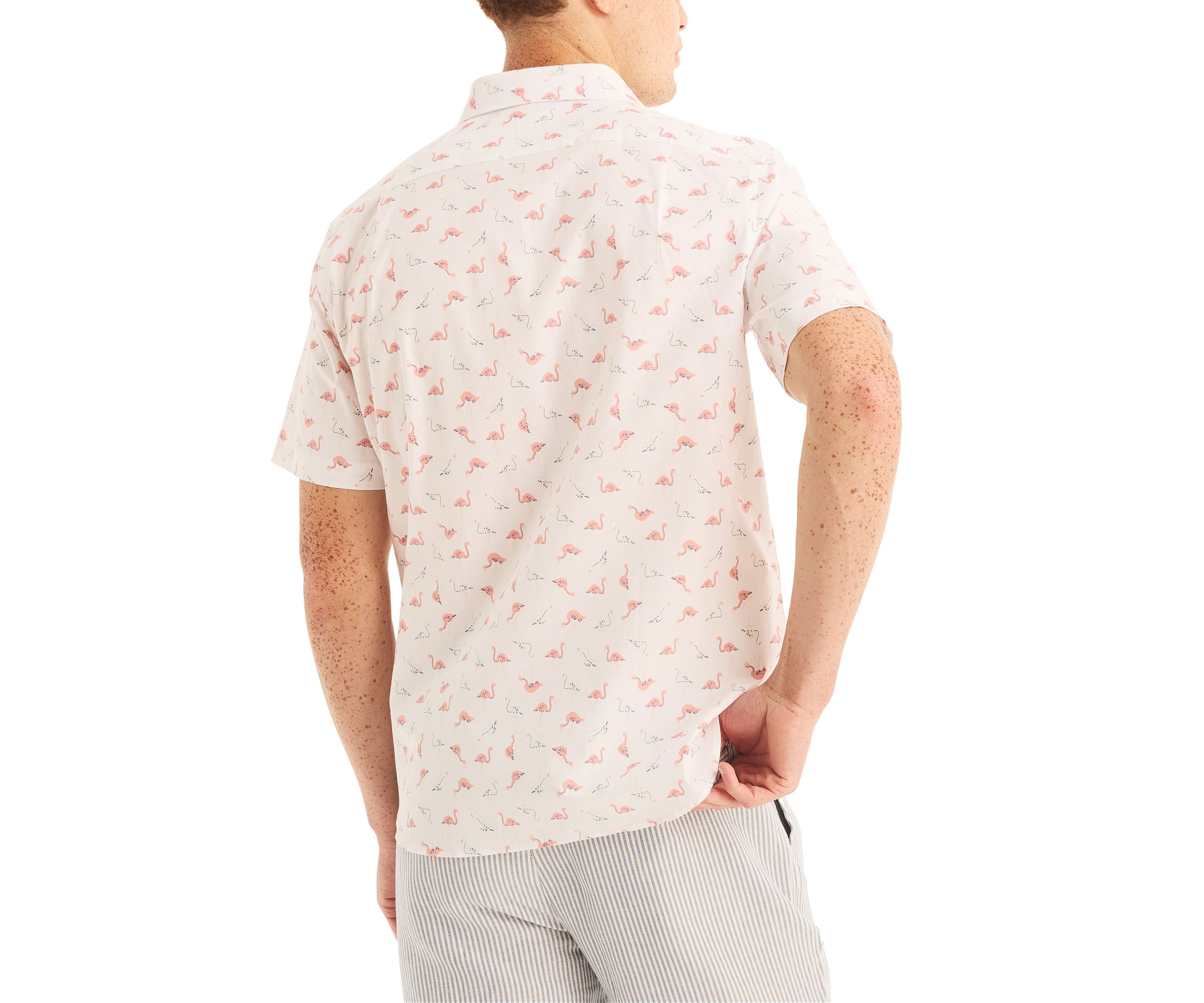 Printed Short-Sleeve Oxford Shirt