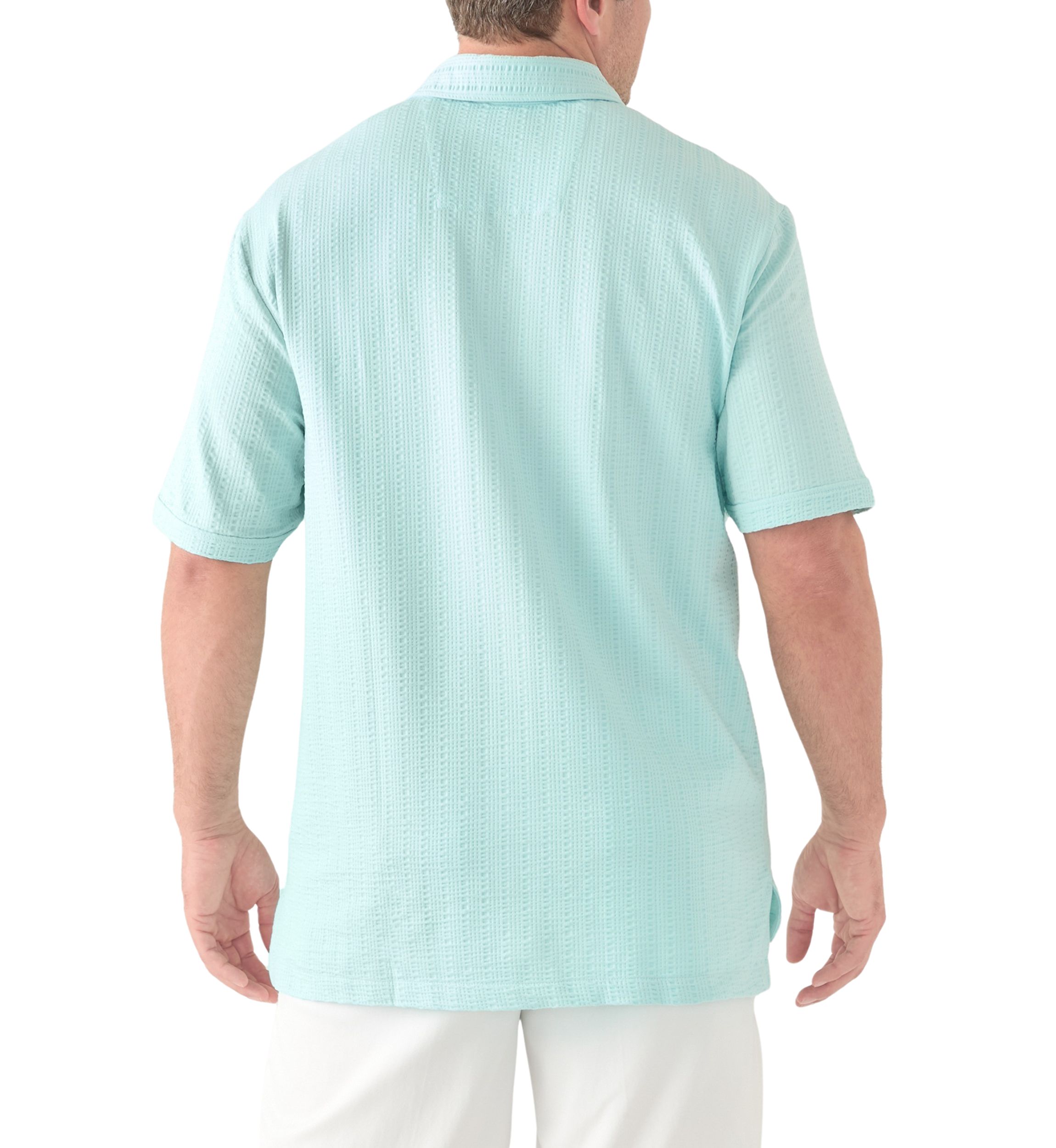 Big & Tall Classic Fit Seersucker Shirt