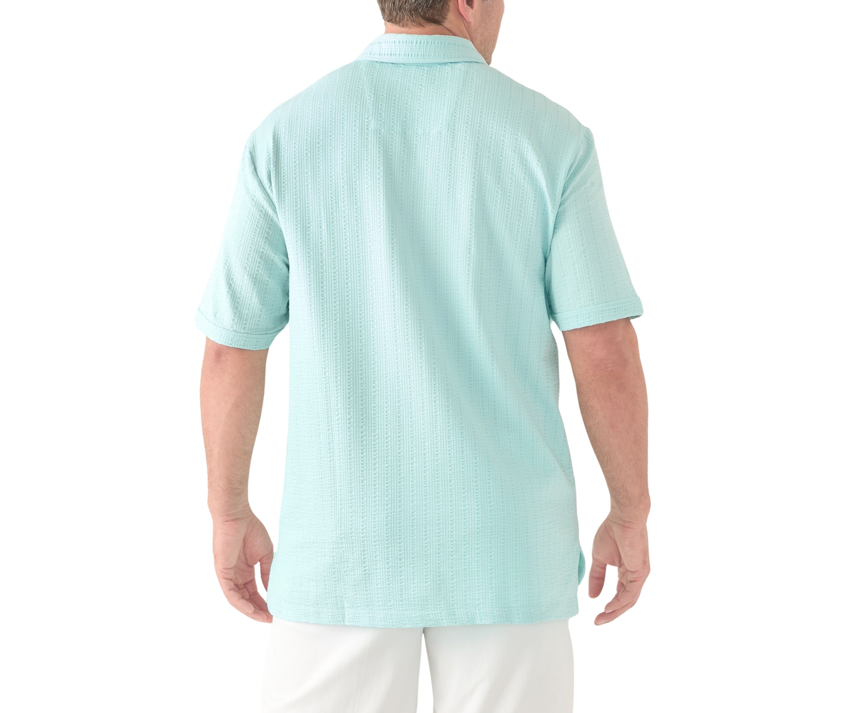 Big & Tall Classic Fit Seersucker Polo Shirt