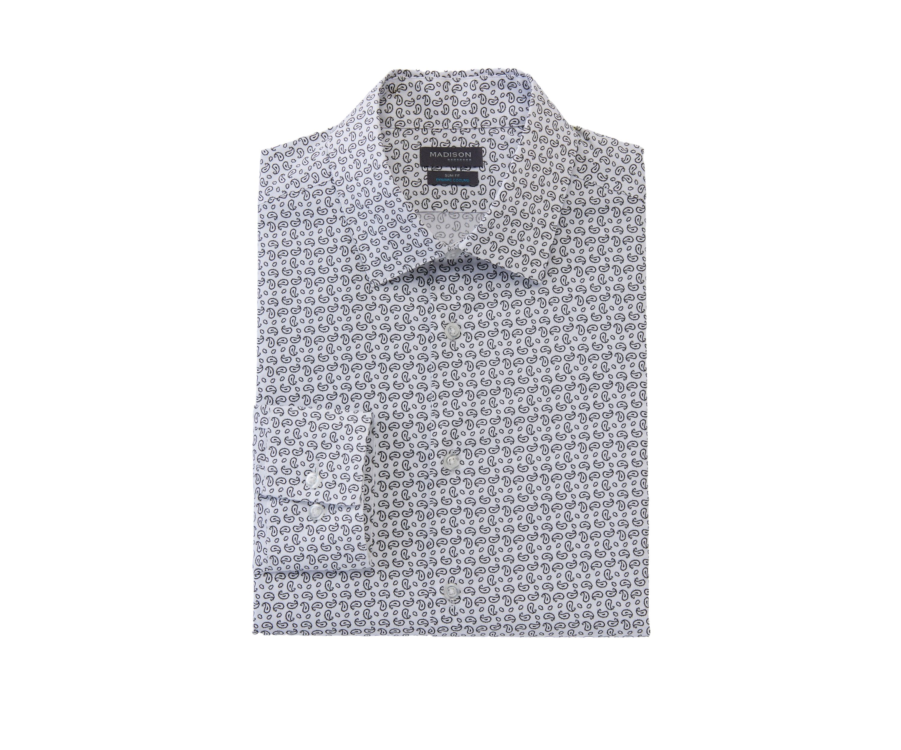 Slim Paisley Print Dress Shirt 