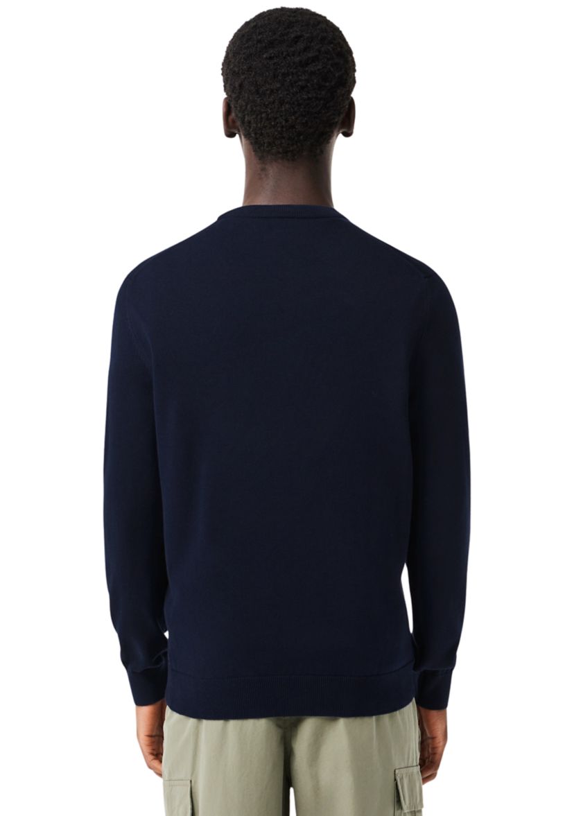 Solid Crew Neck Sweater