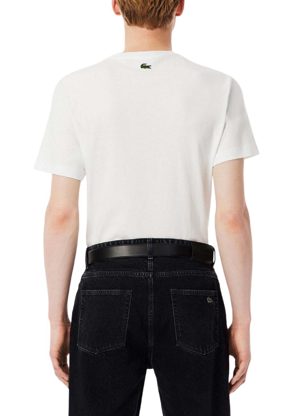 Mens Crocodile Graphic T-Shirt 