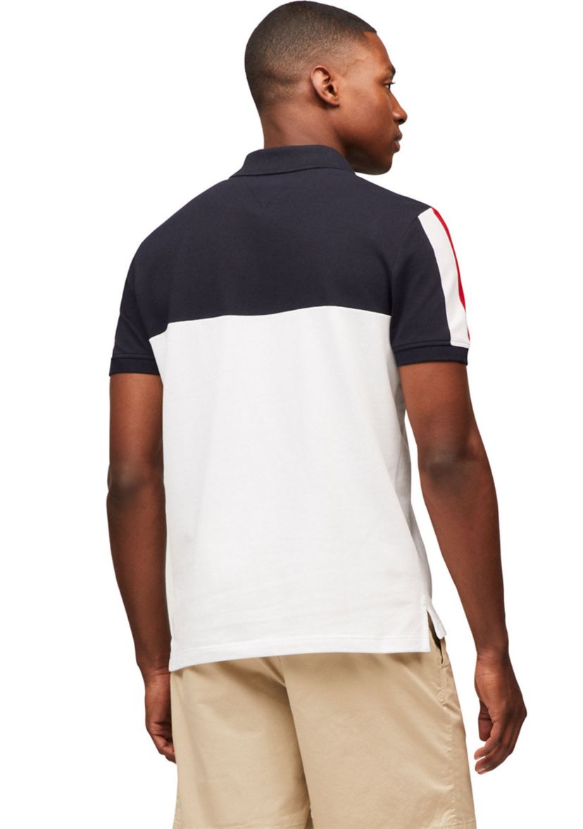 Mens Regular Fit Color Blocked Polo Shirt