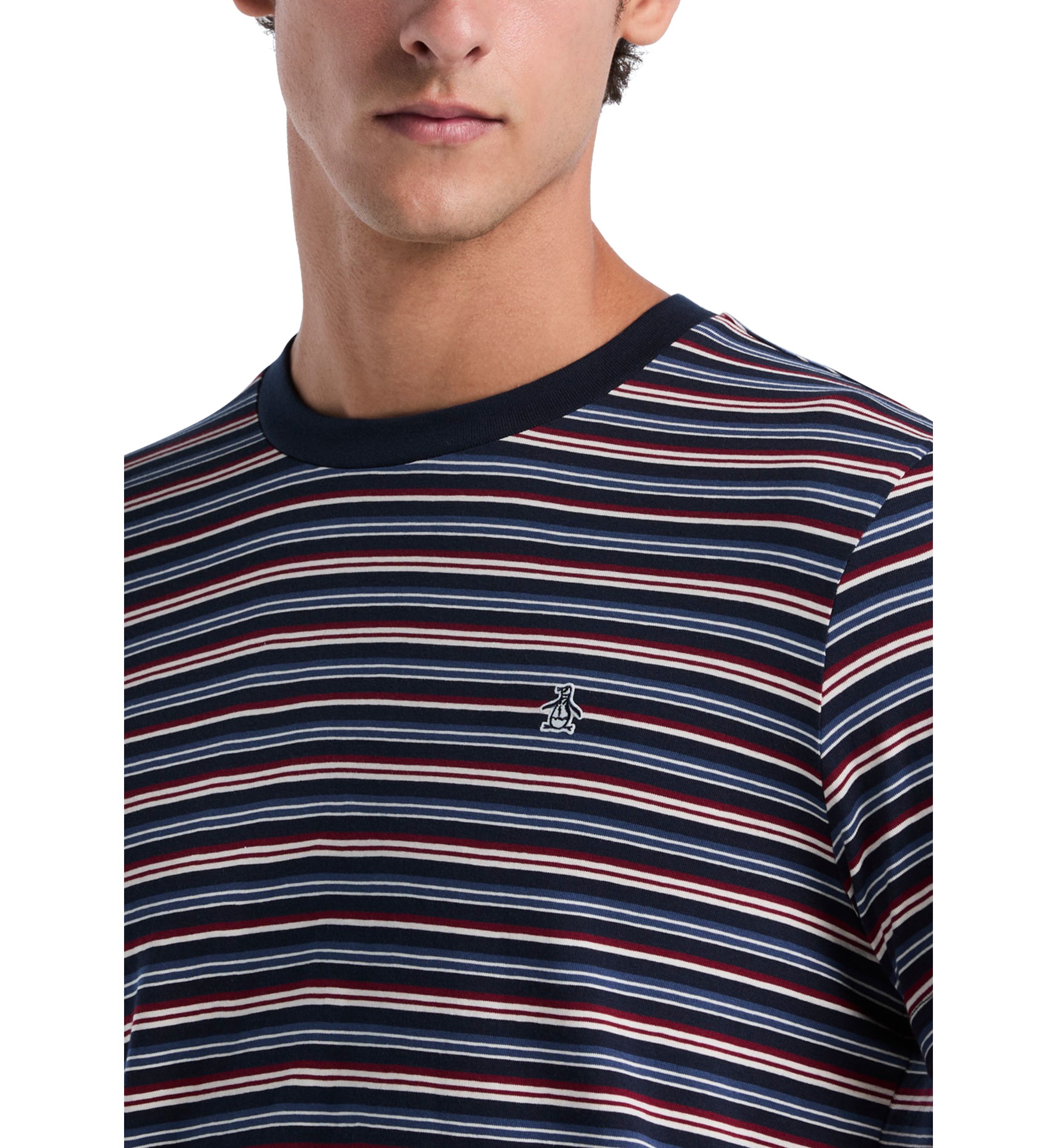 Mens Short Sleeve Striped T-Shirt